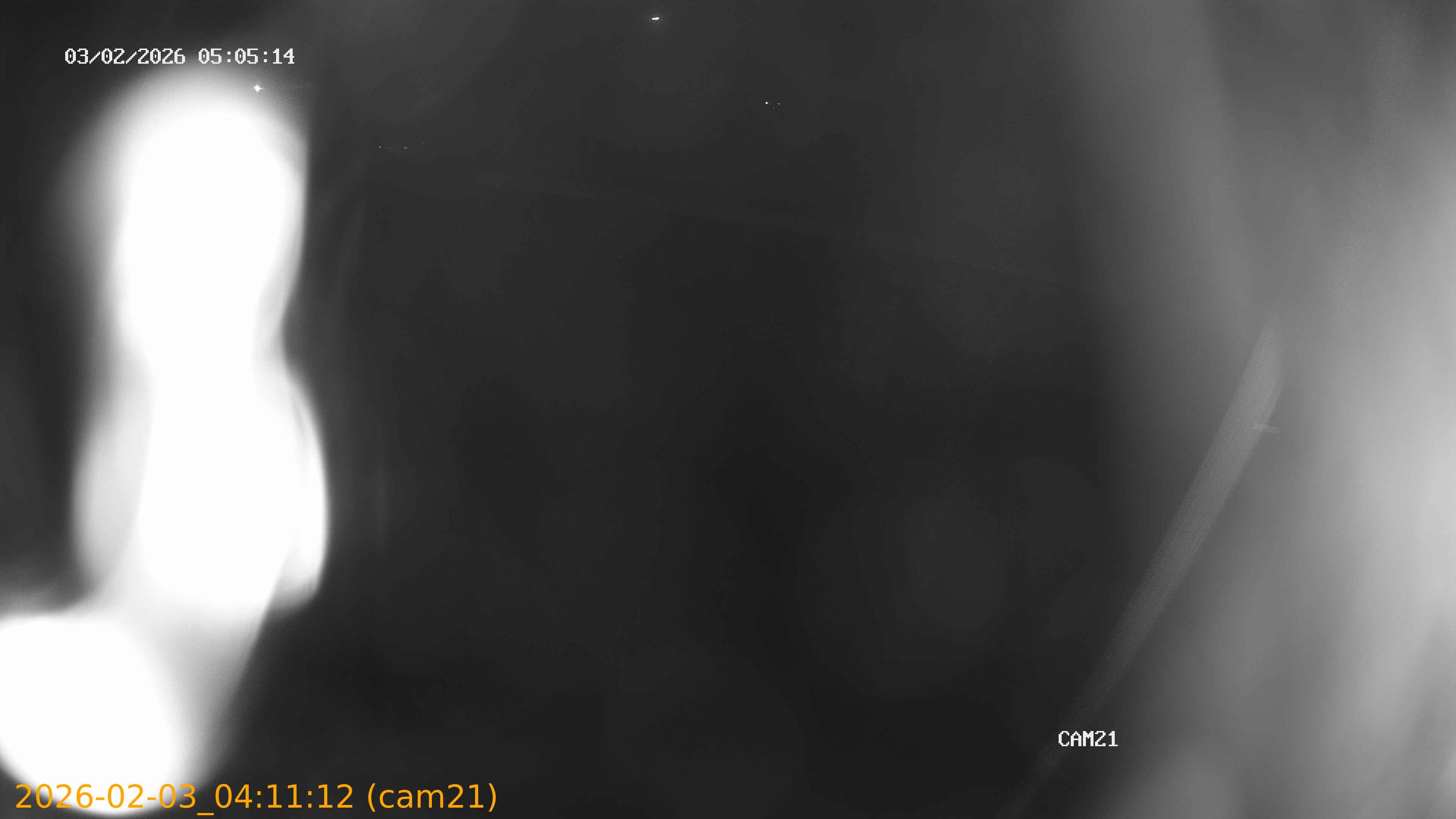 thumbnail_20260203041112