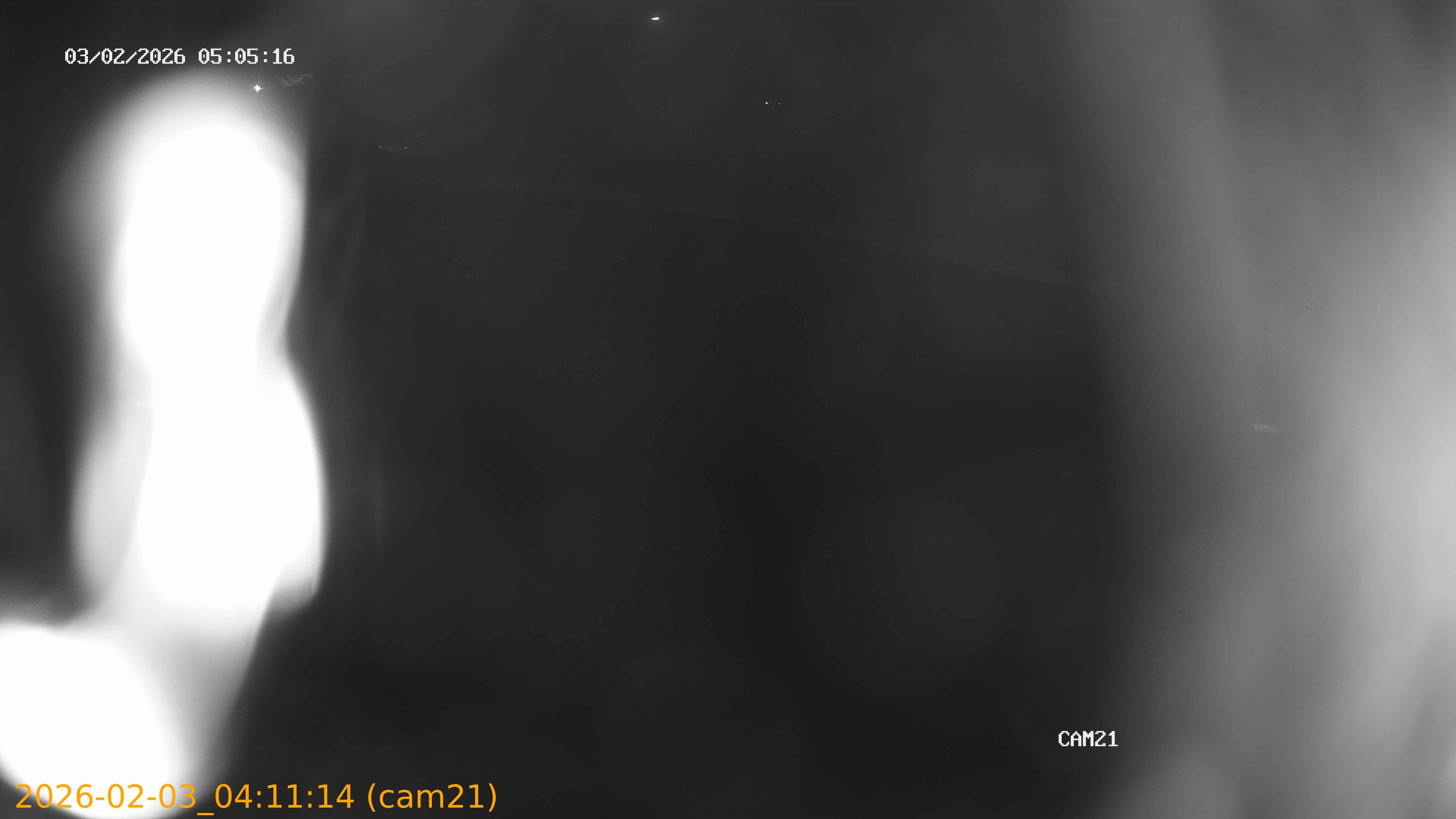 thumbnail_20260203041114