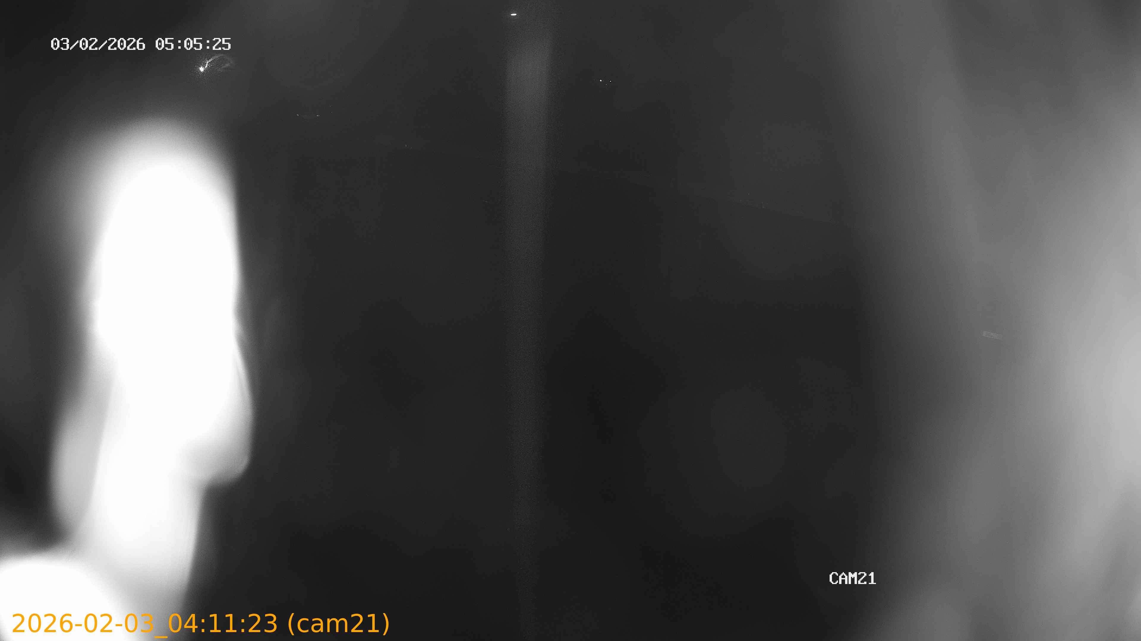 thumbnail_20260203041123