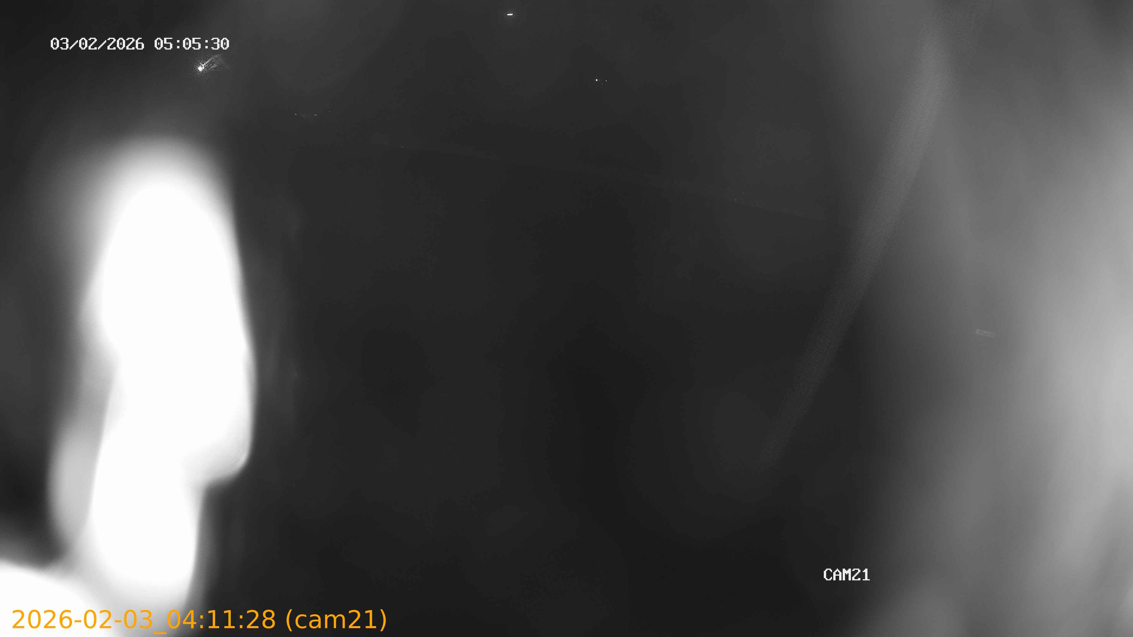 thumbnail_20260203041128