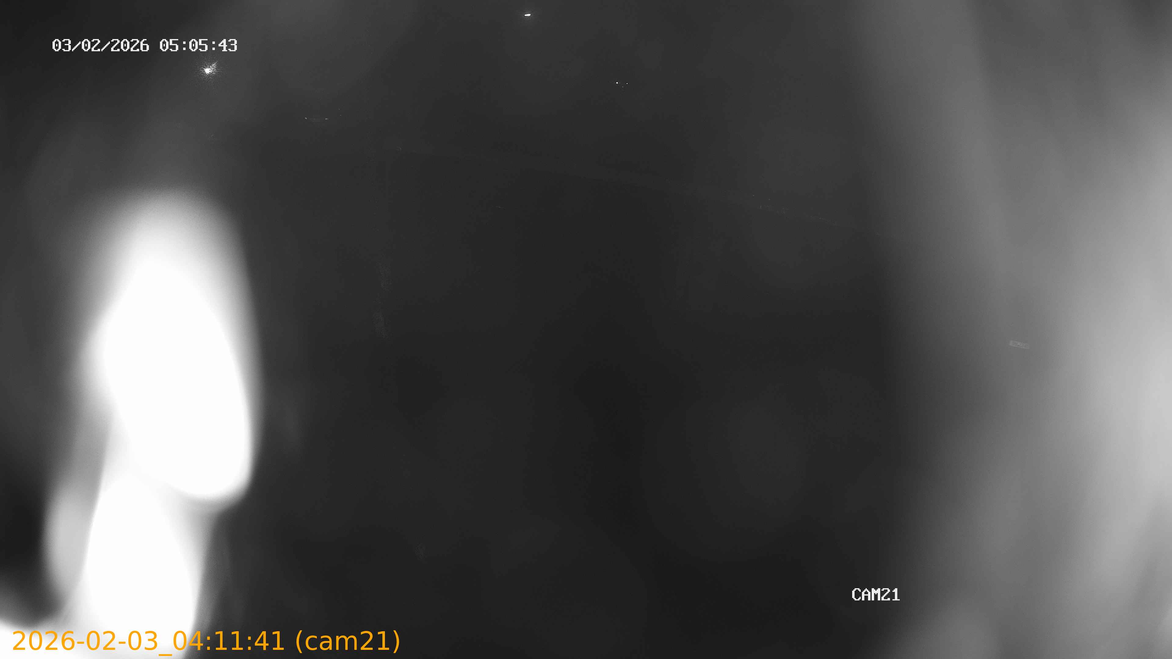 thumbnail_20260203041141