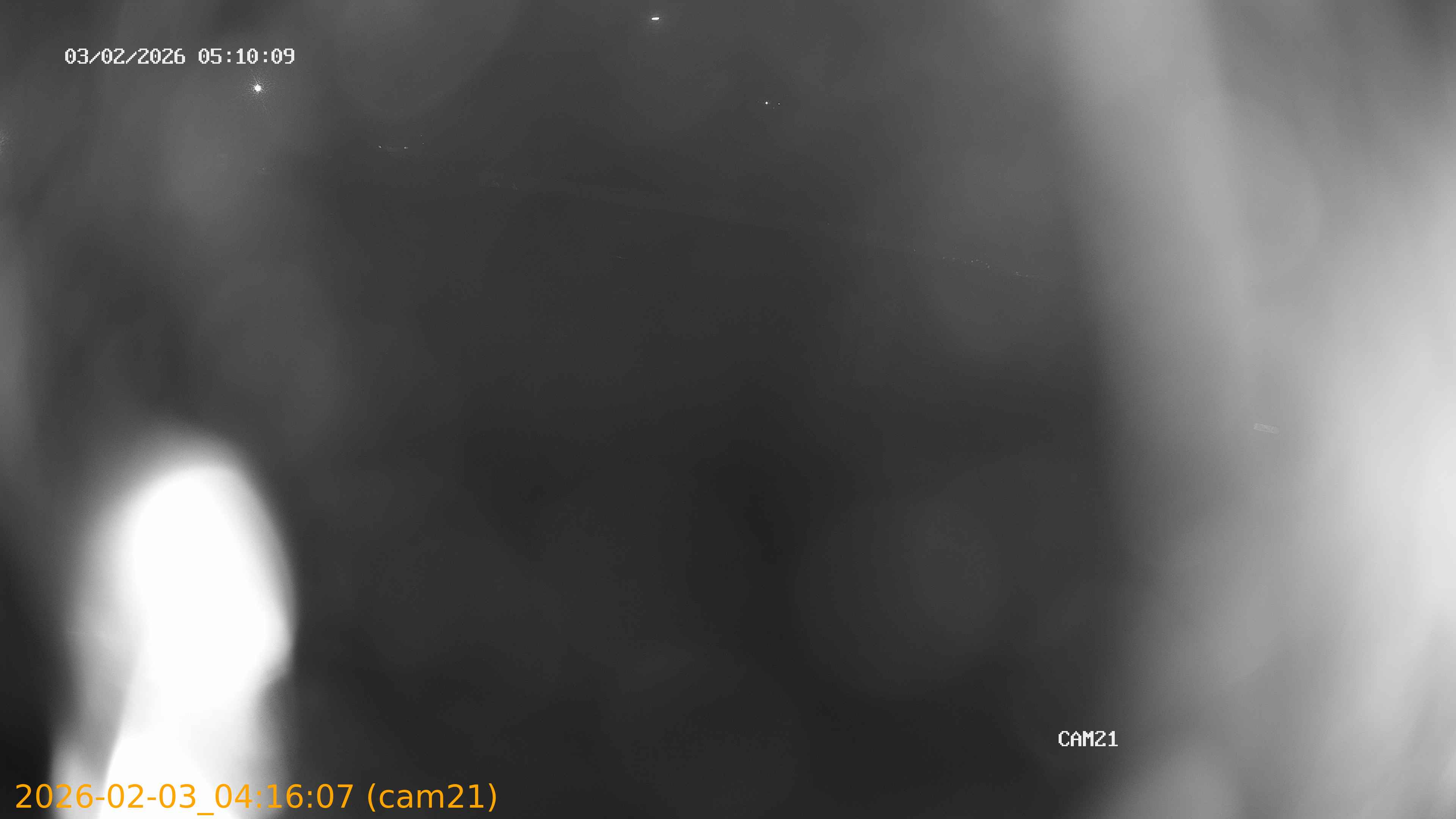 thumbnail_20260203041607