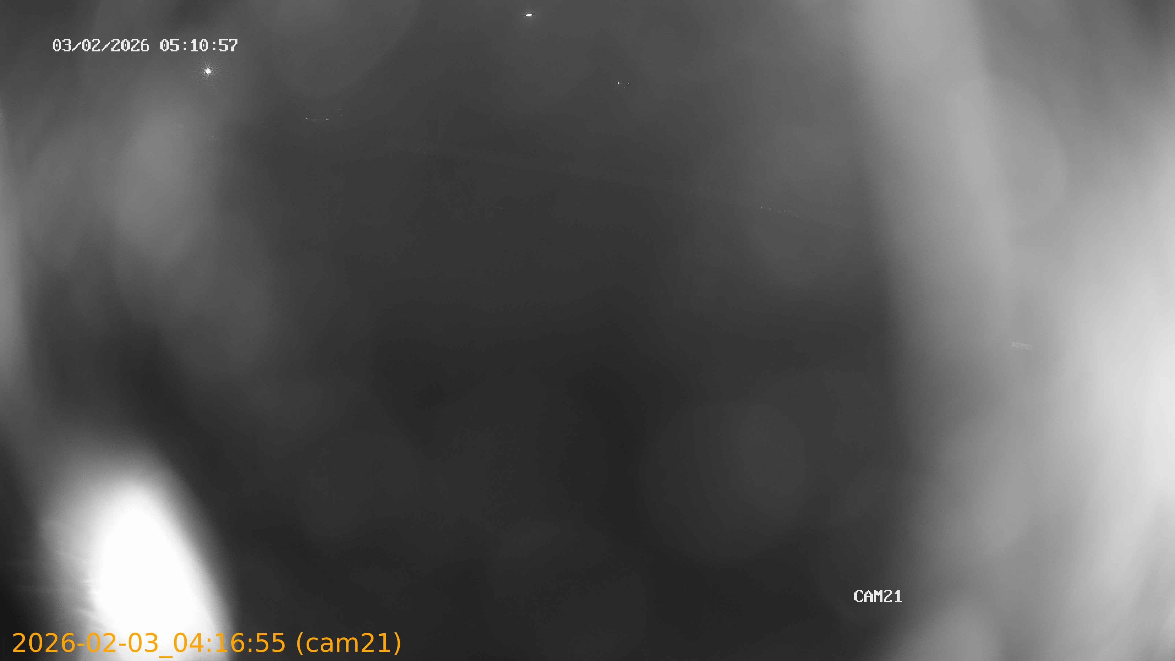 thumbnail_20260203041655