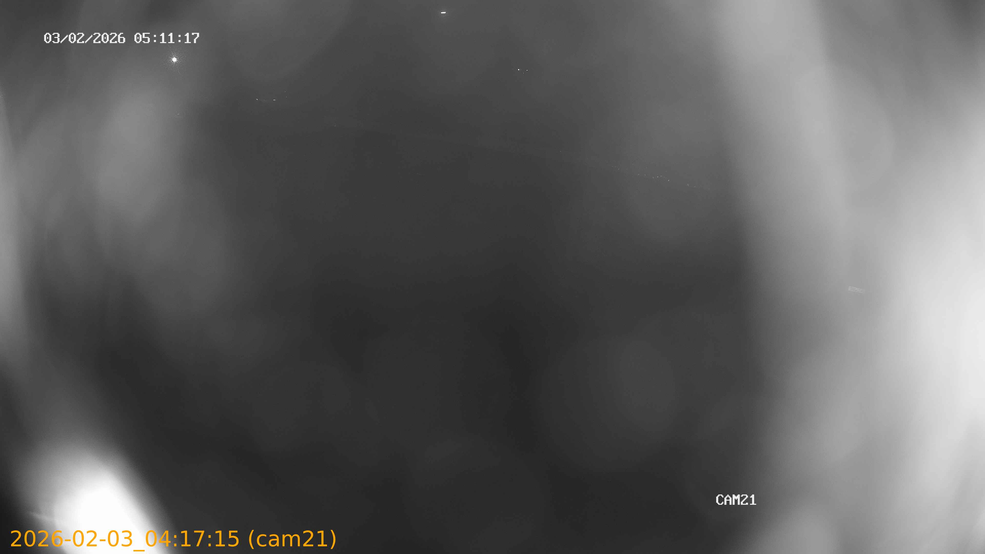 thumbnail_20260203041715