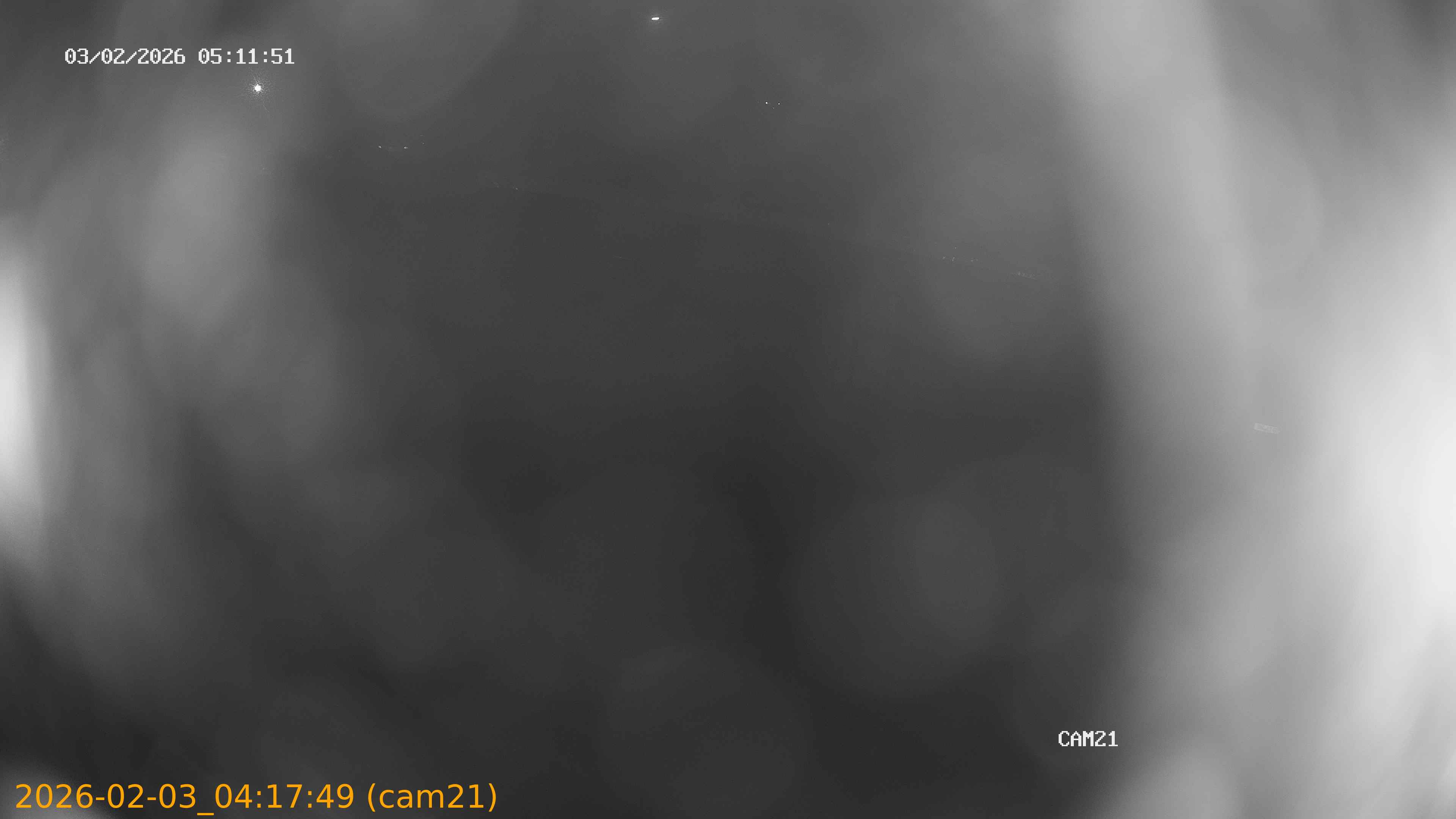 thumbnail_20260203041749