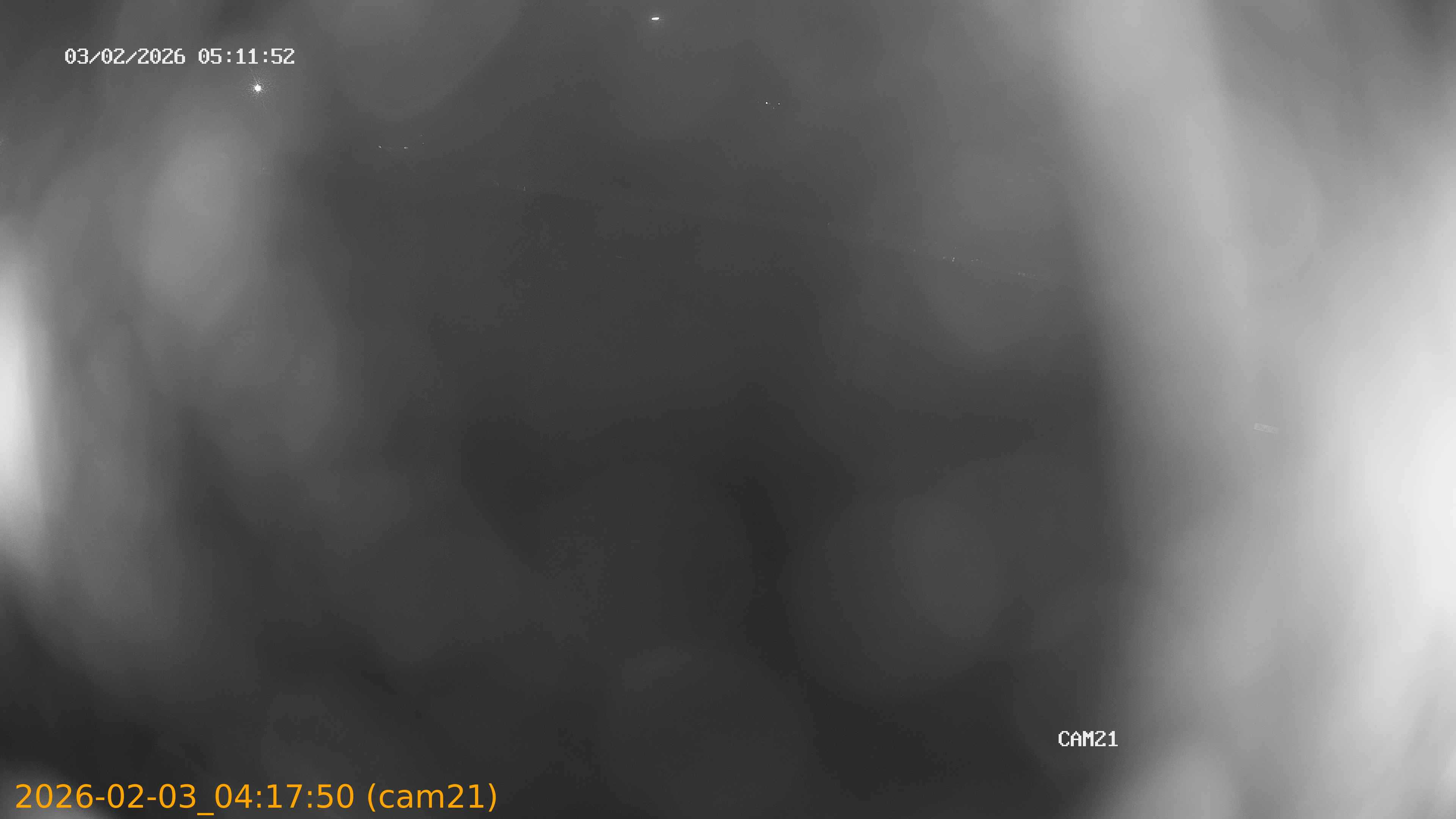 thumbnail_20260203041750