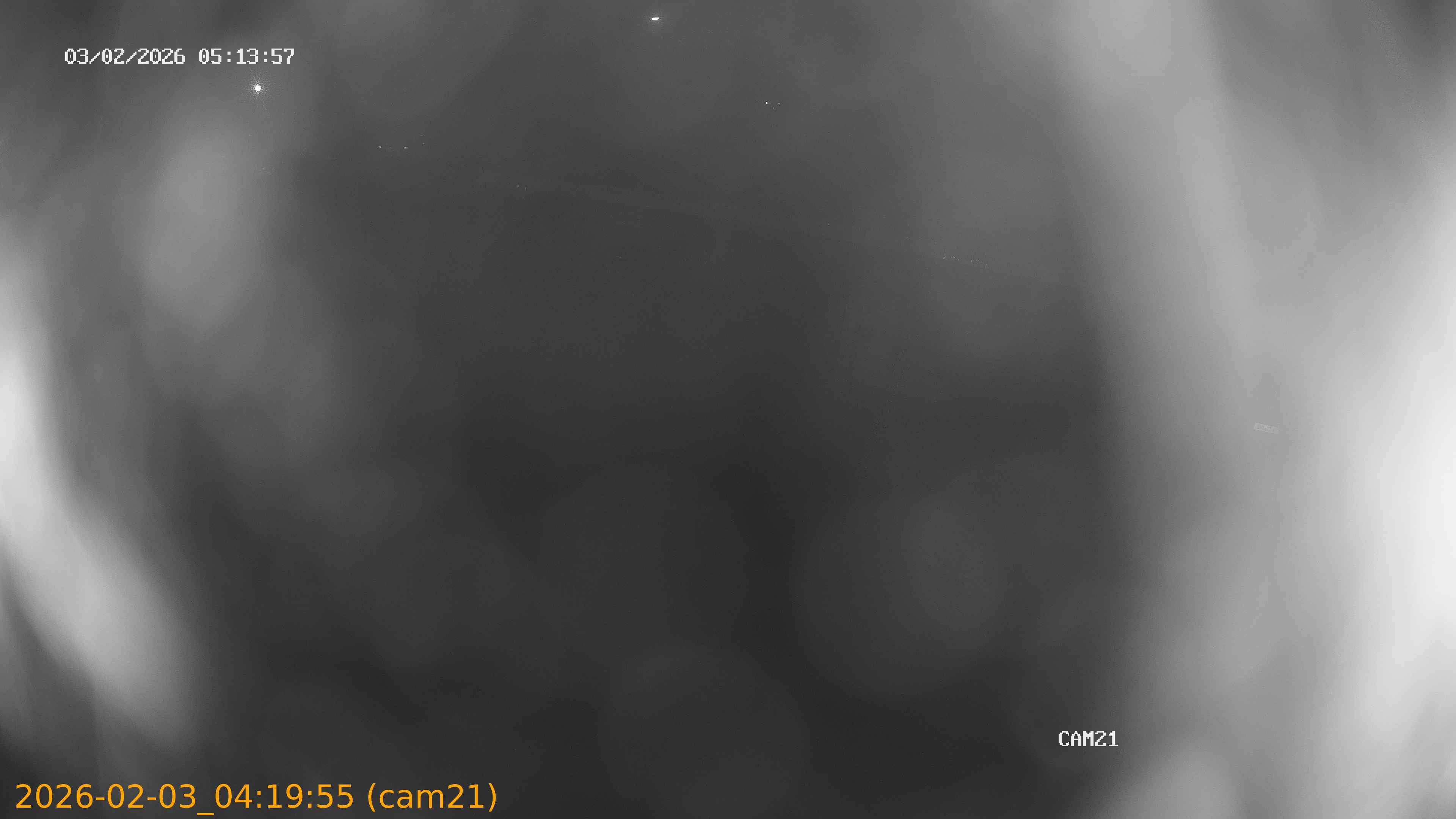 thumbnail_20260203041955