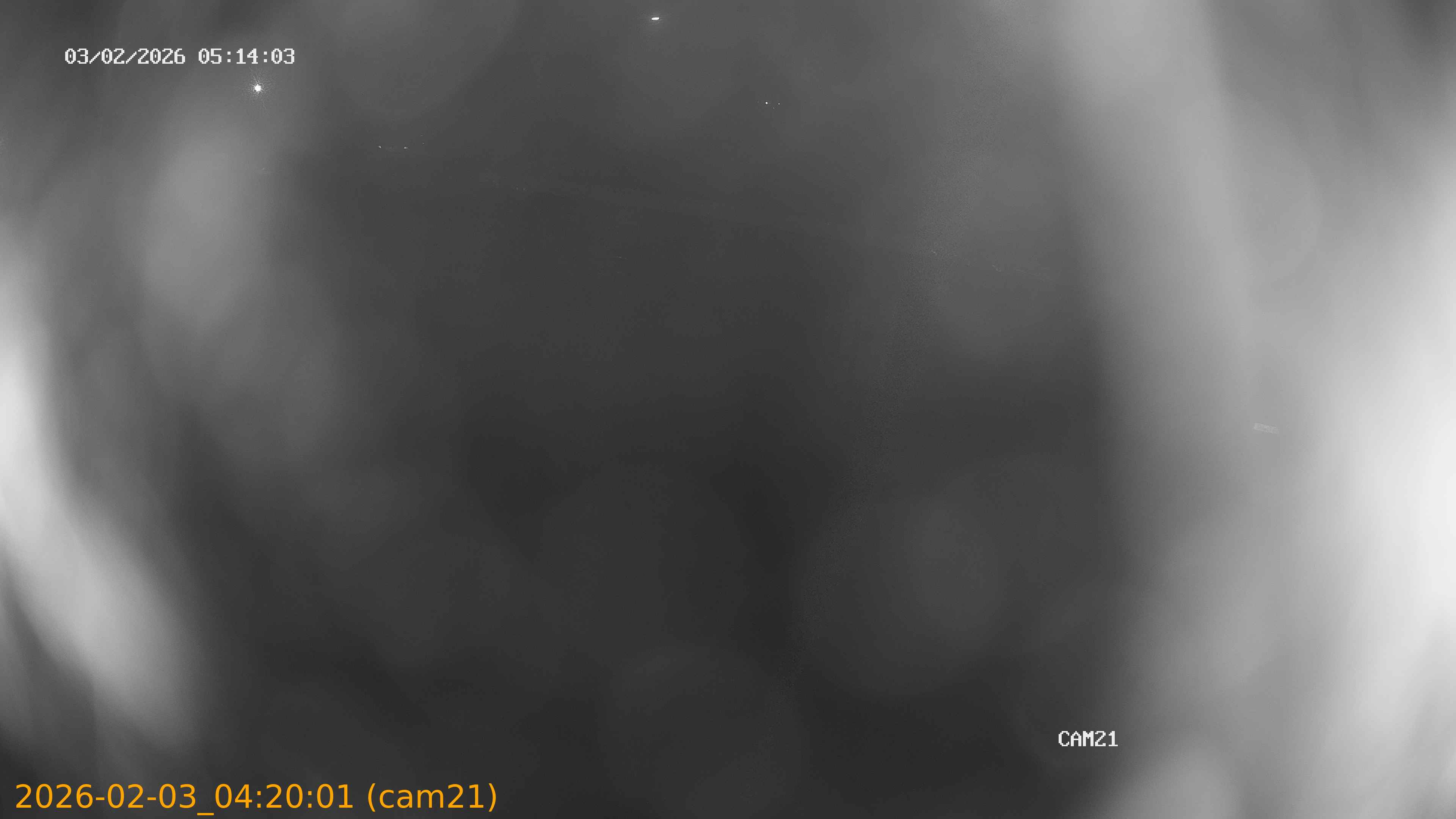 thumbnail_20260203042001