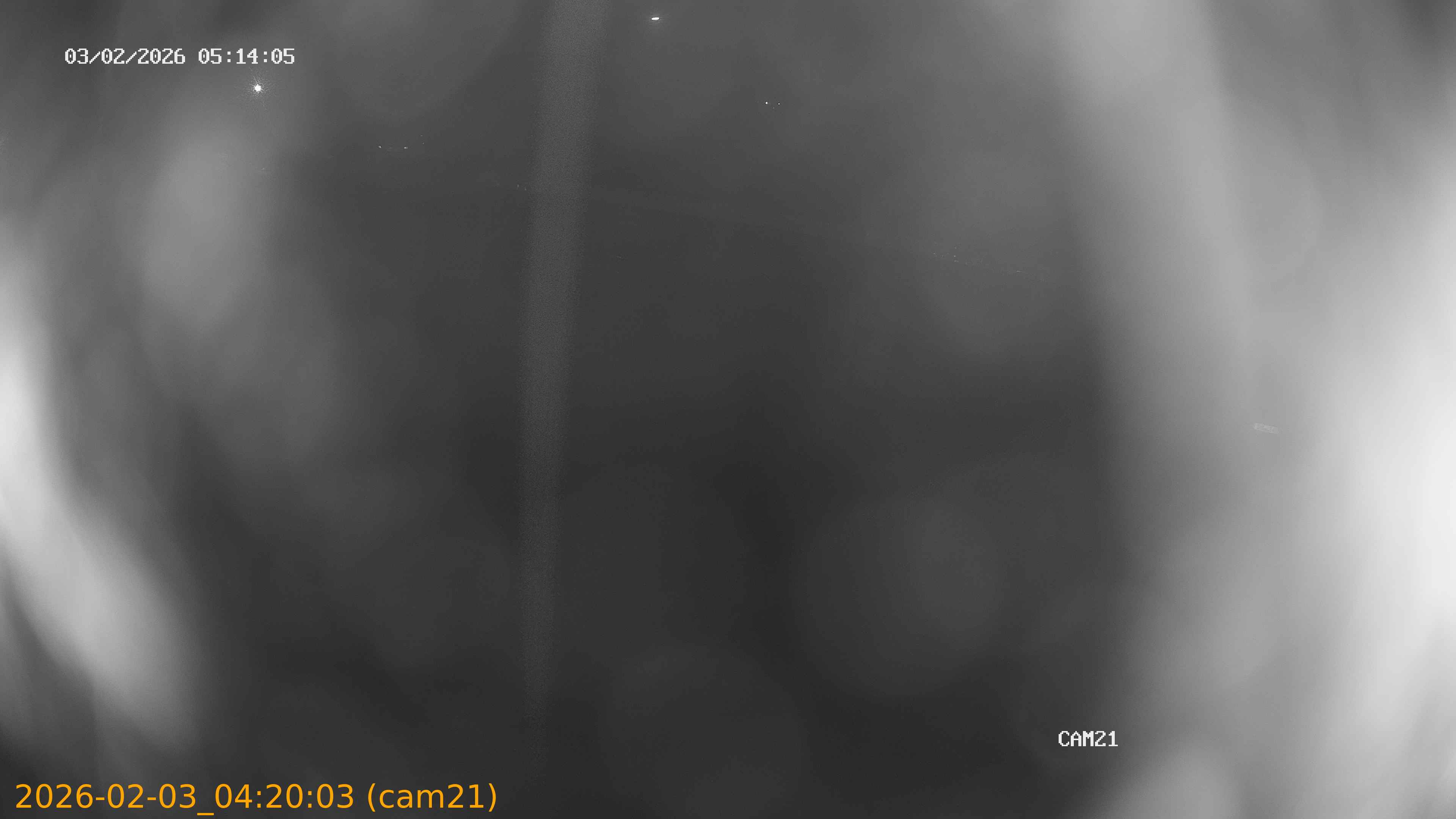 thumbnail_20260203042003