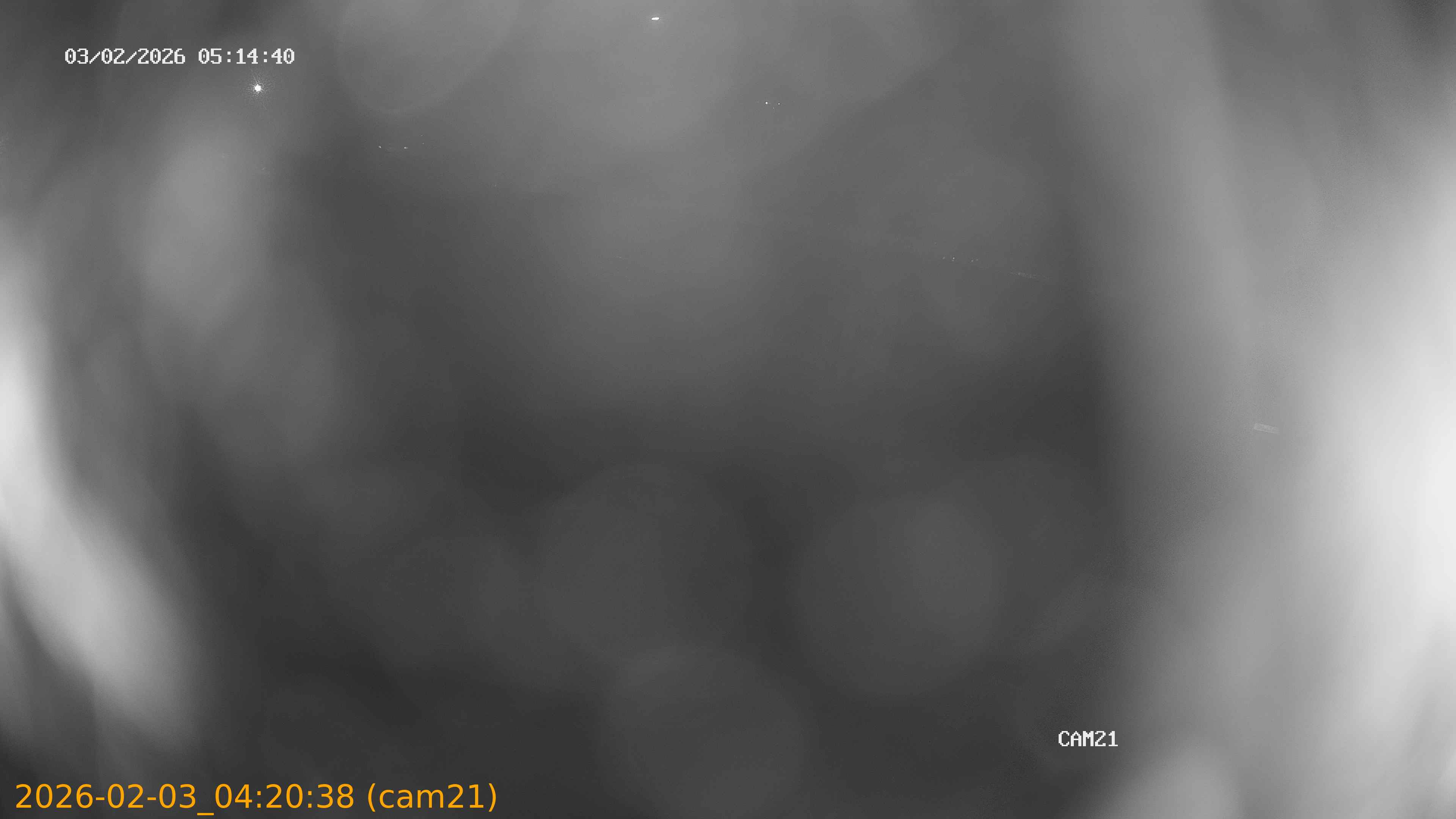 thumbnail_20260203042038