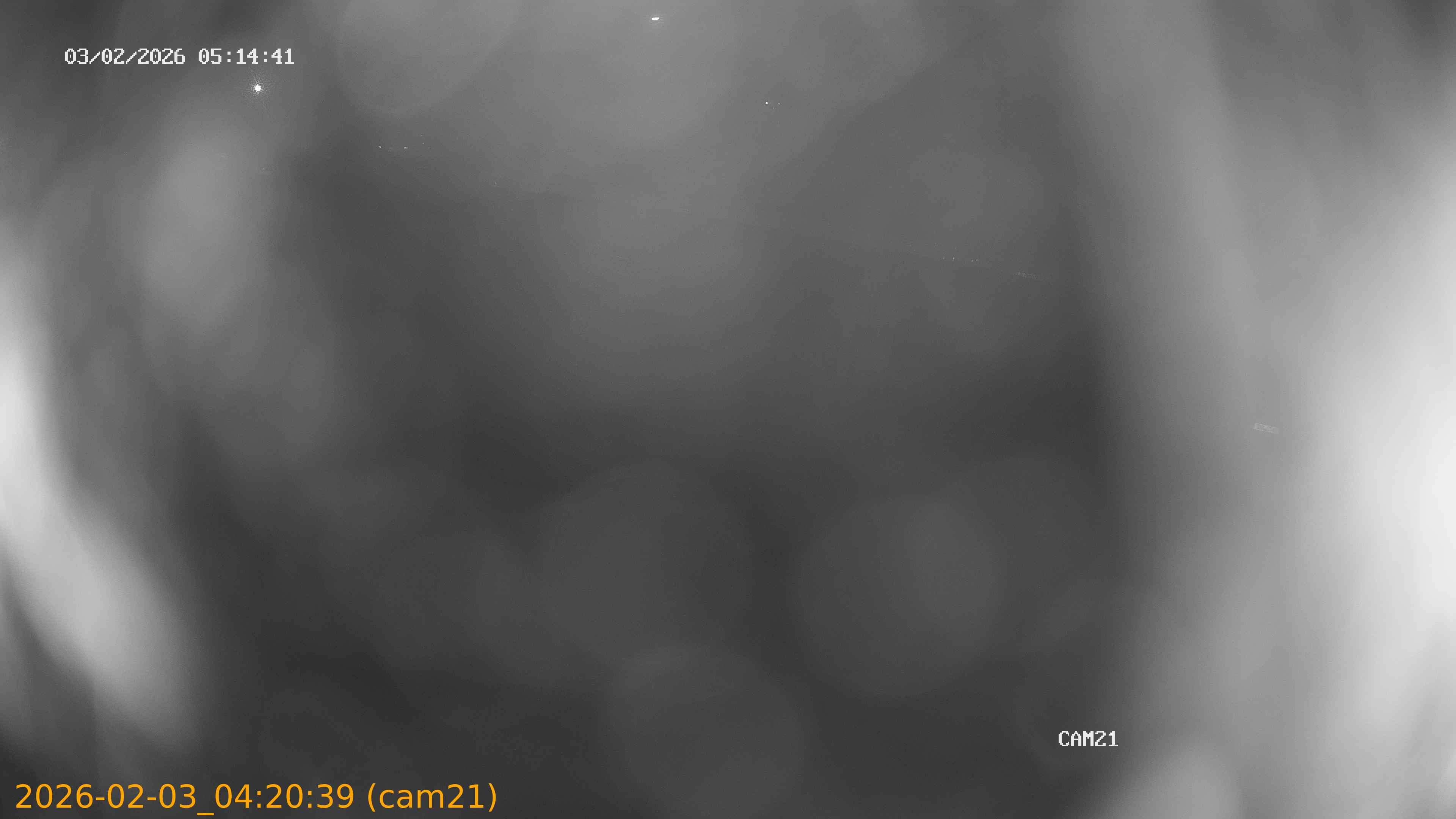 thumbnail_20260203042039