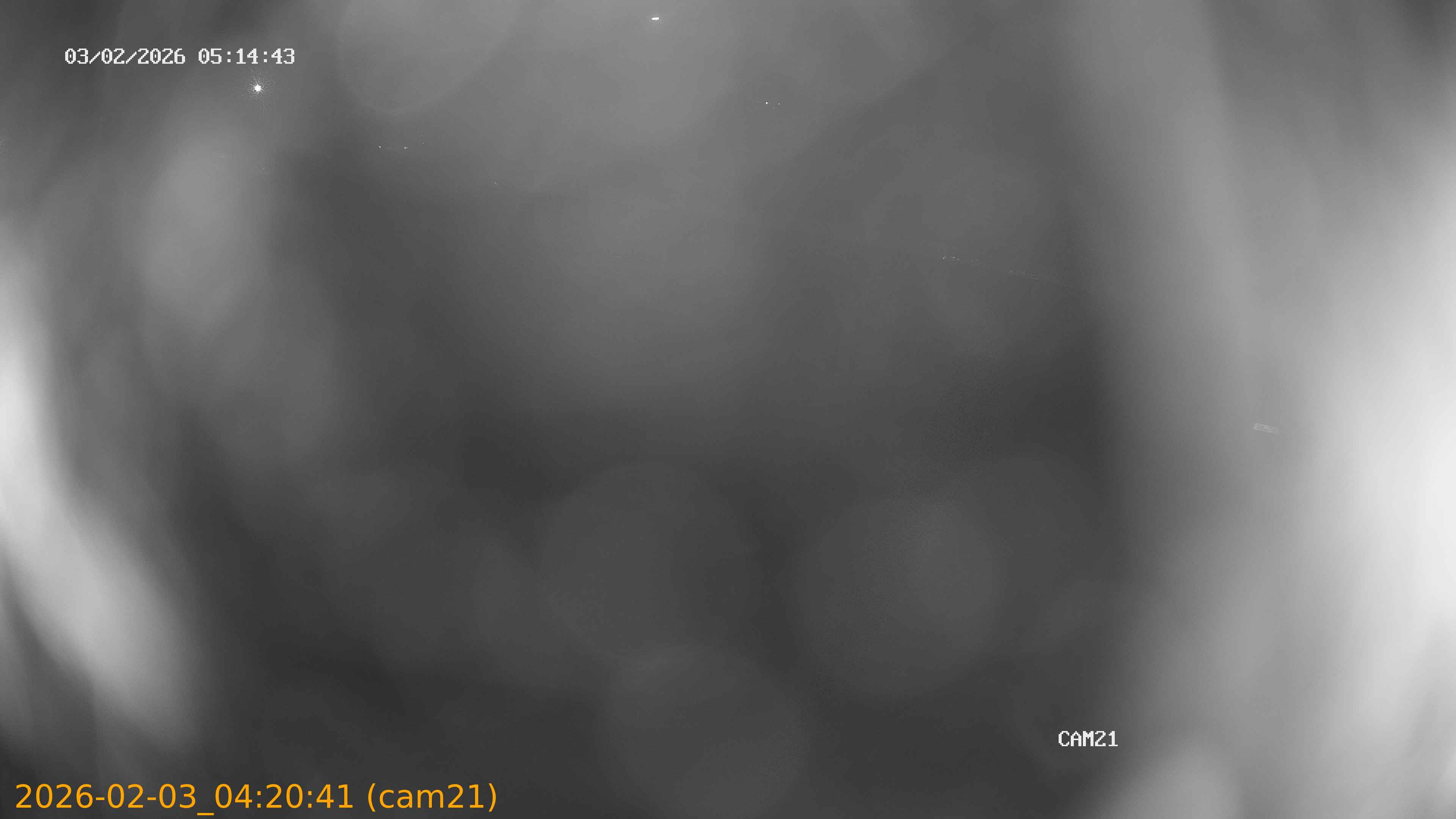 thumbnail_20260203042041