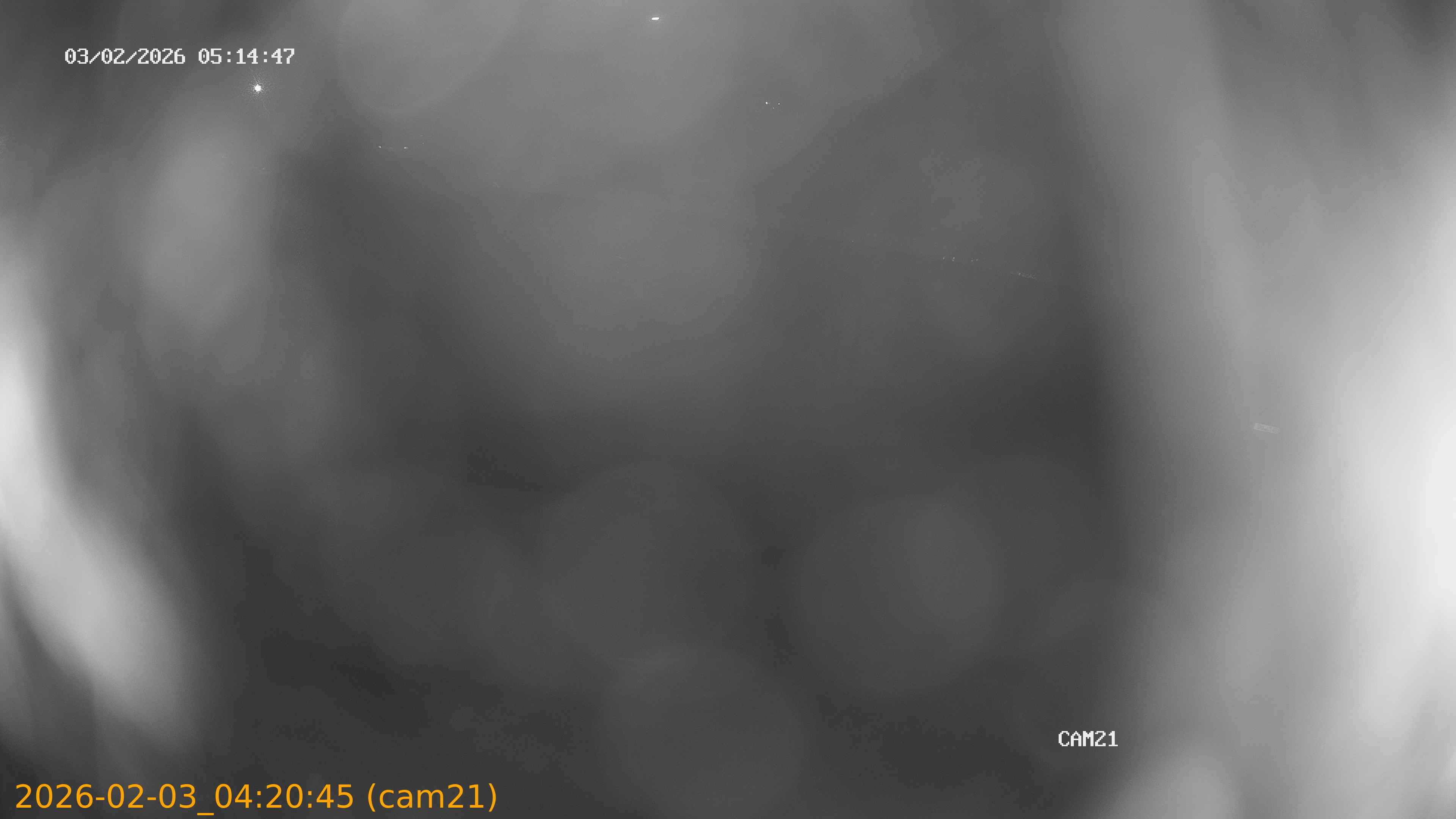 thumbnail_20260203042045