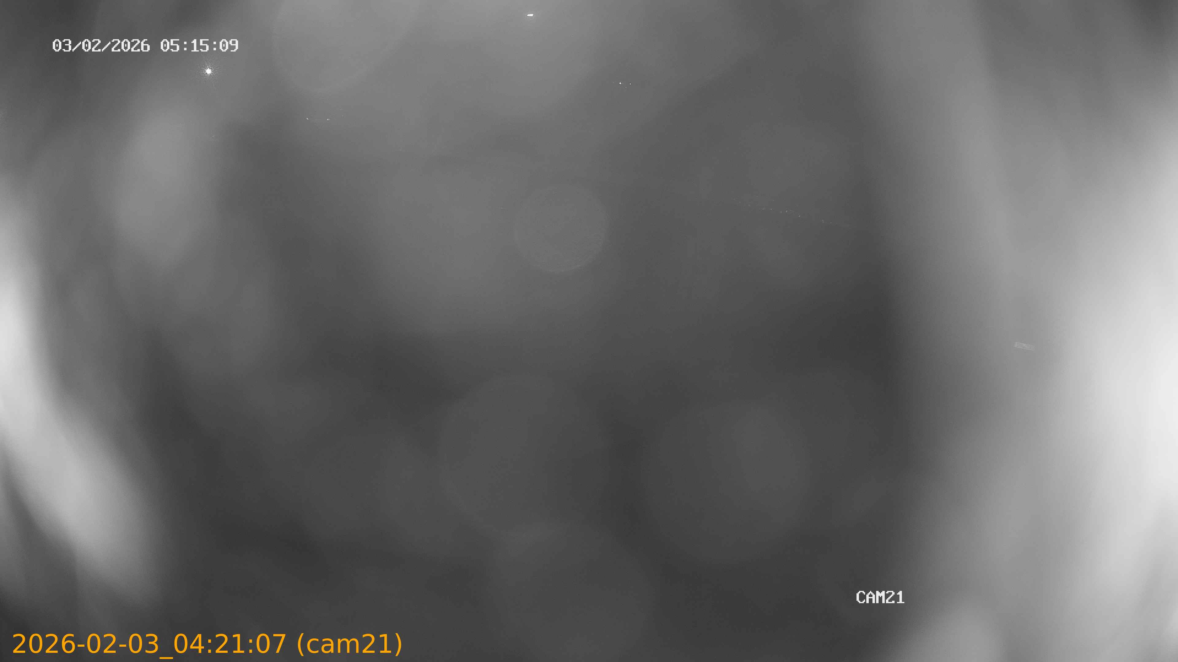 thumbnail_20260203042107