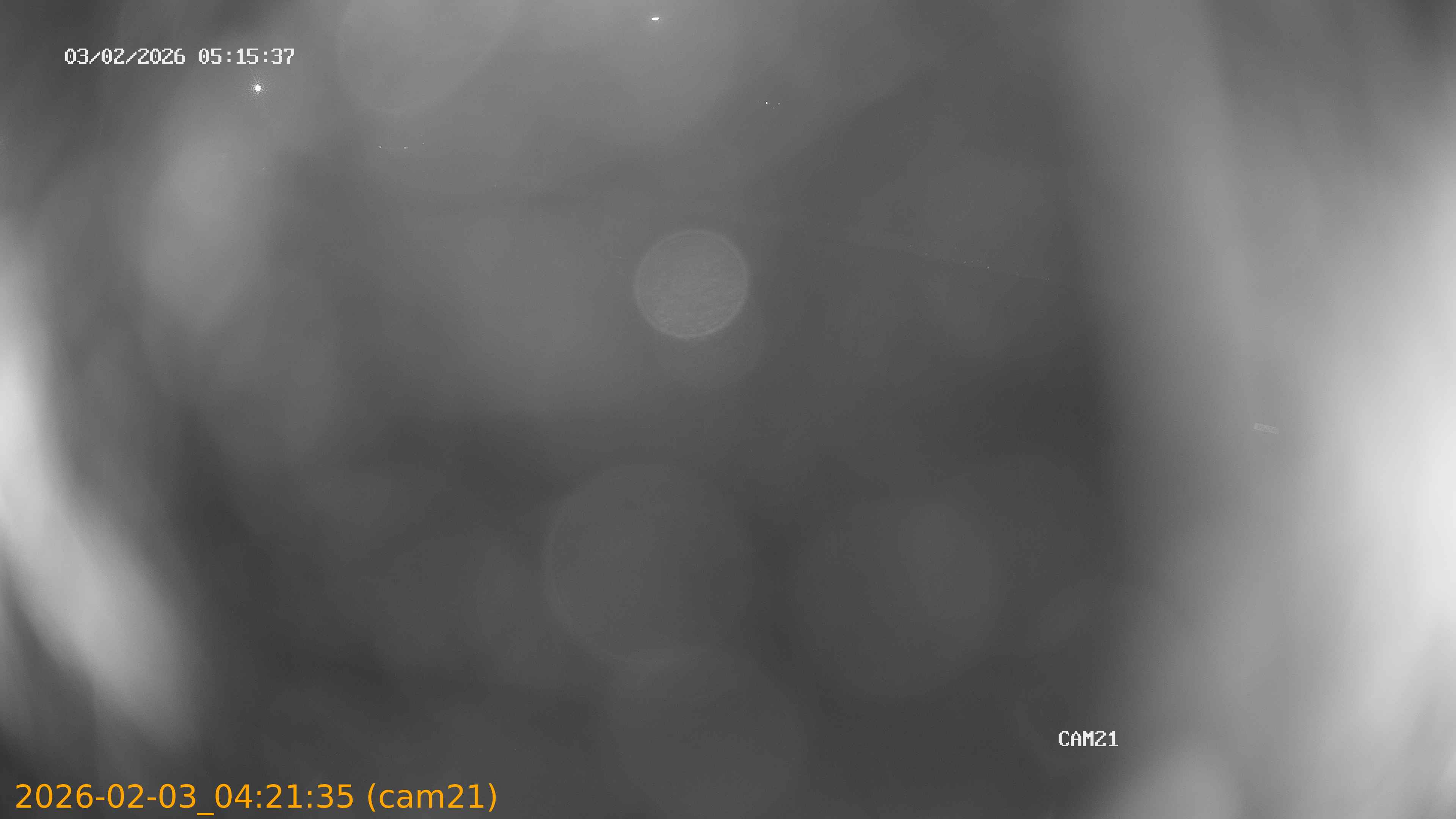 thumbnail_20260203042135