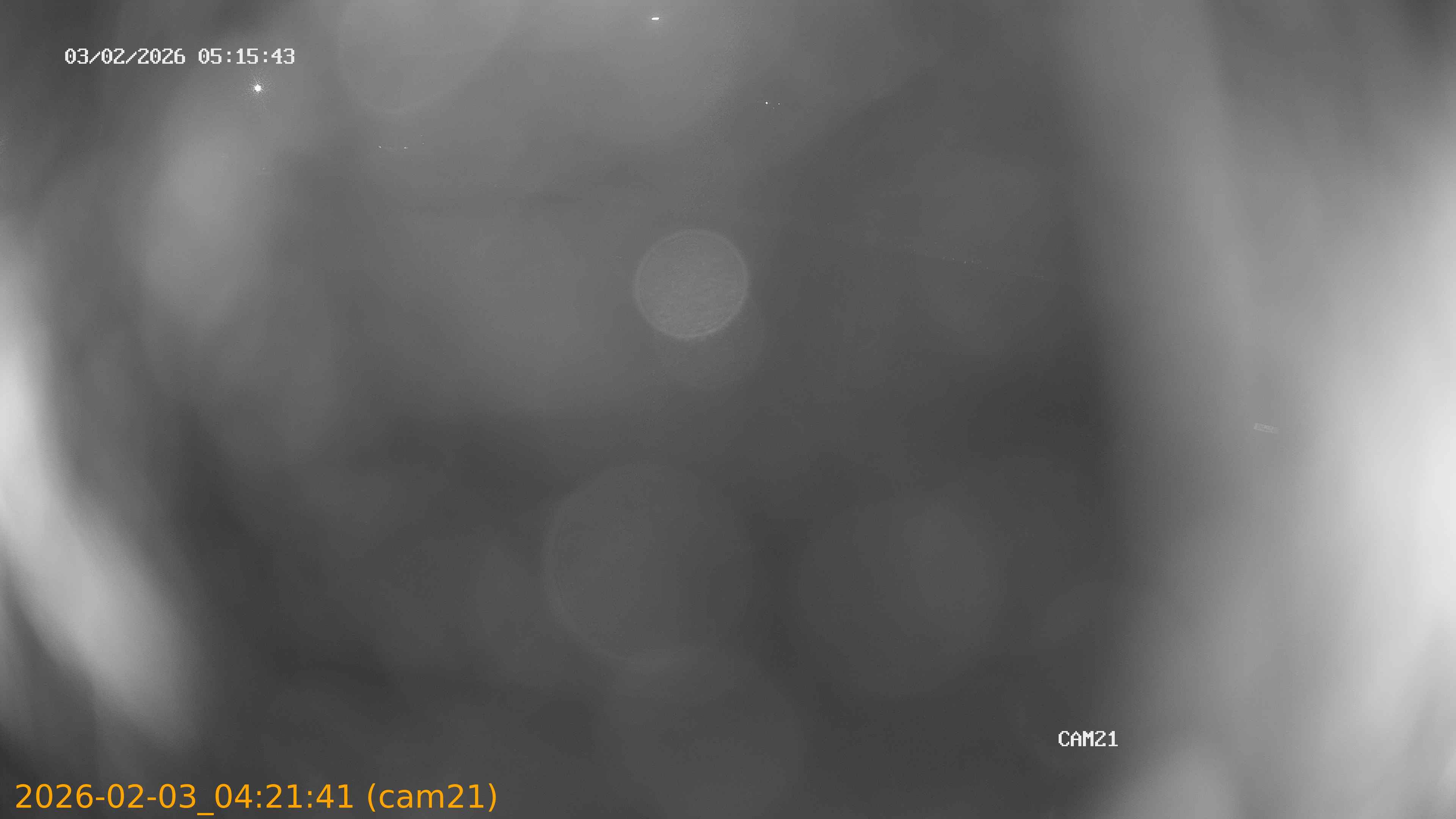 thumbnail_20260203042141