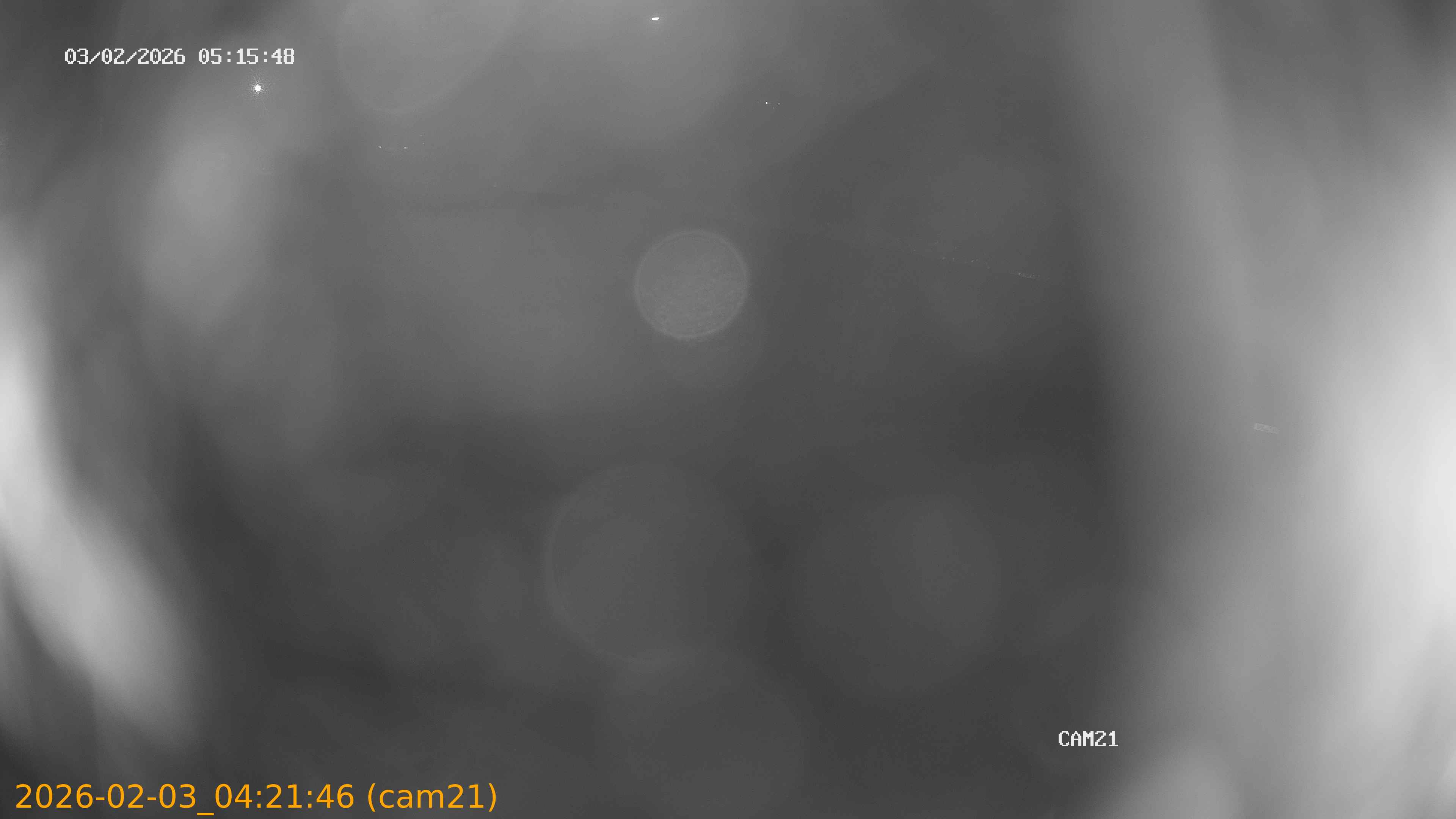 thumbnail_20260203042146