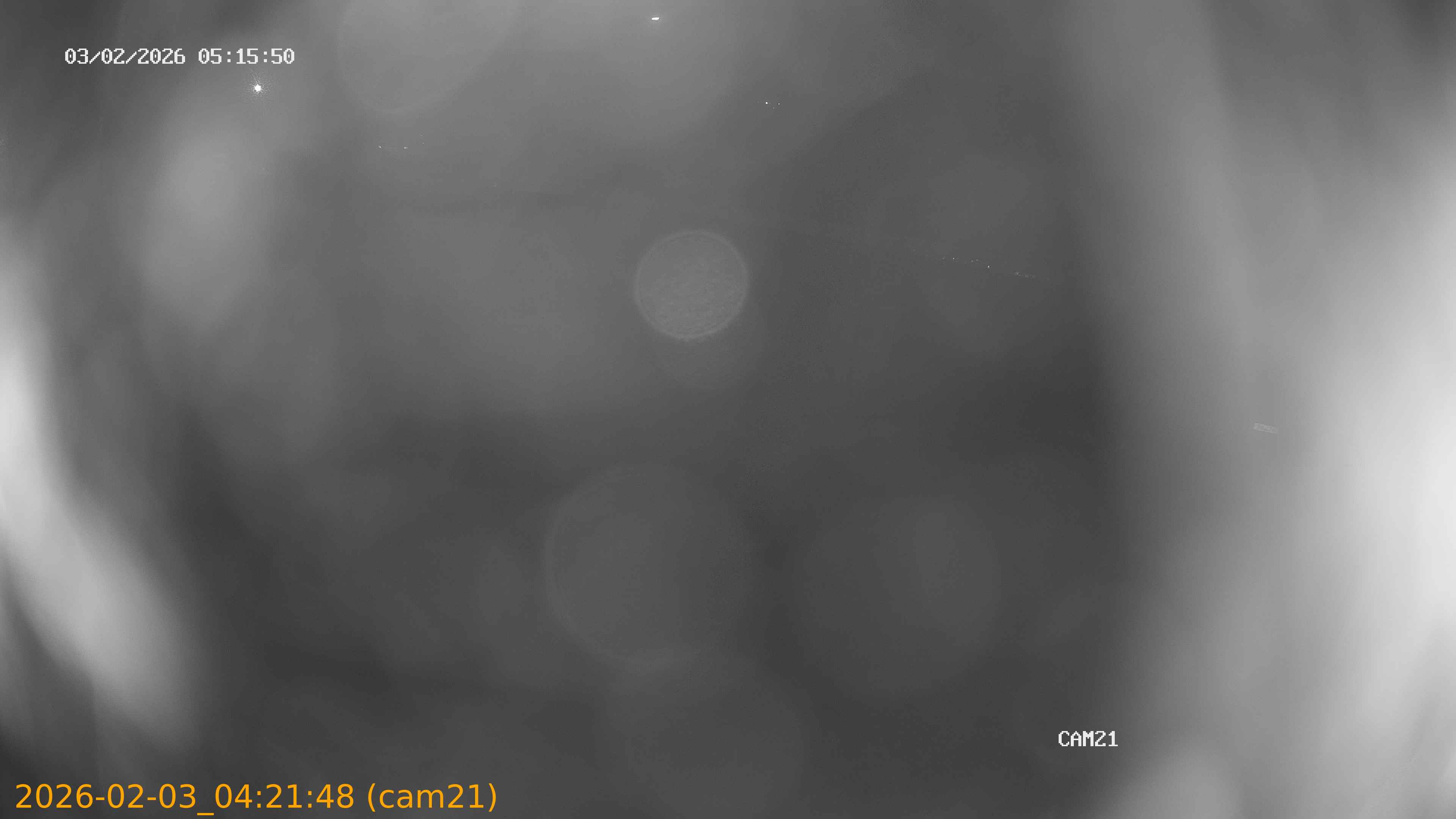 thumbnail_20260203042148