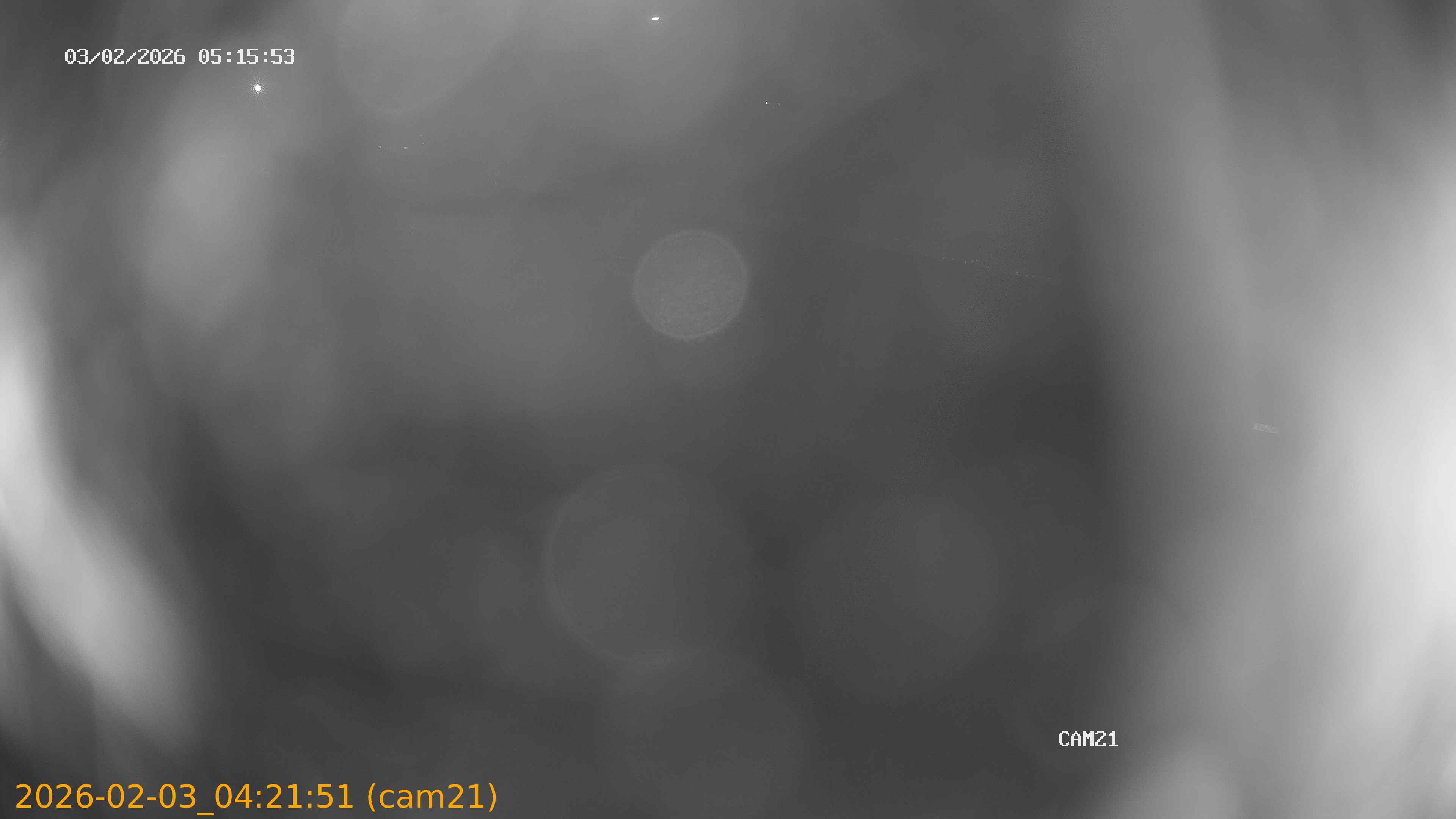 thumbnail_20260203042151