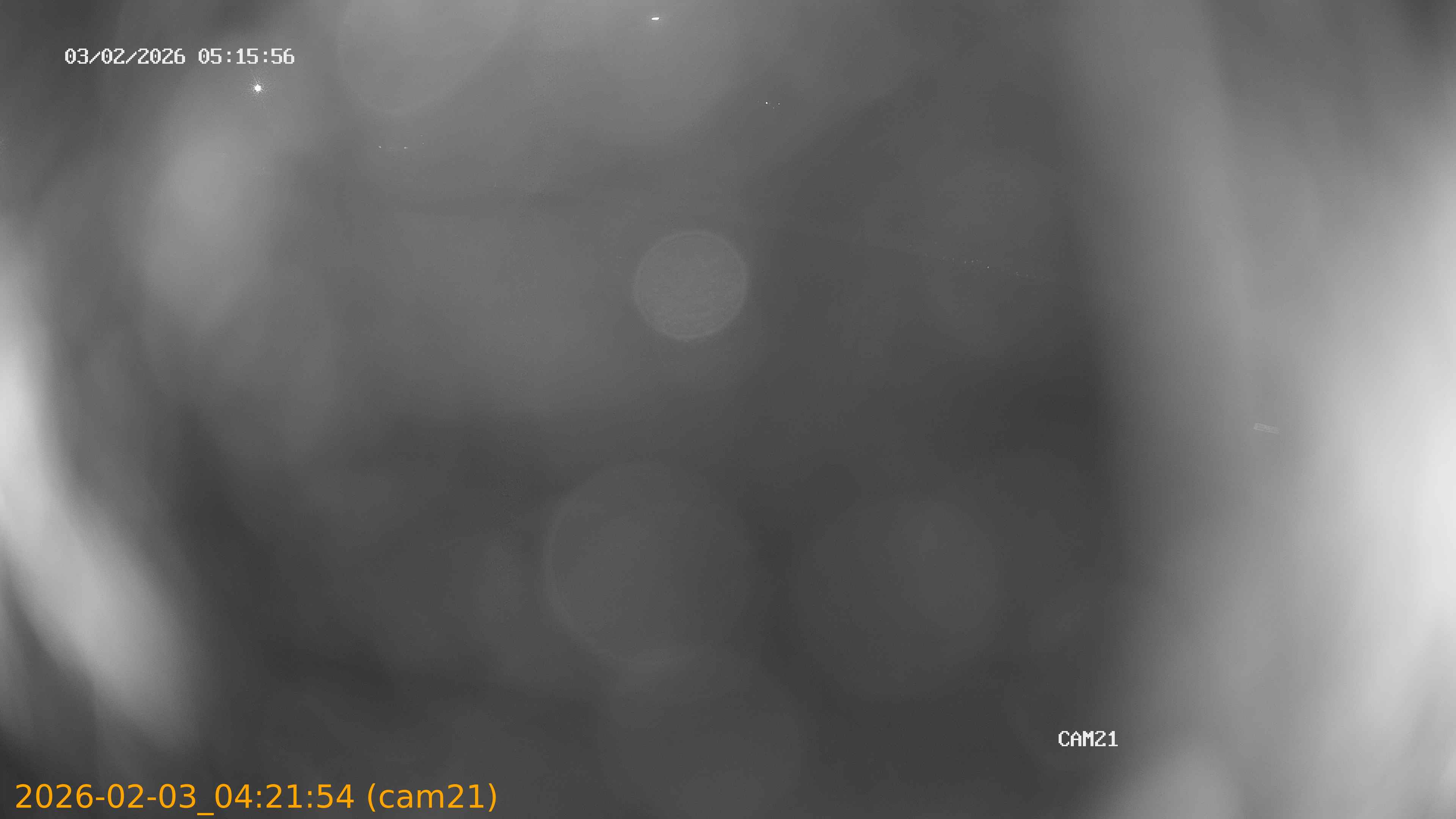 thumbnail_20260203042154