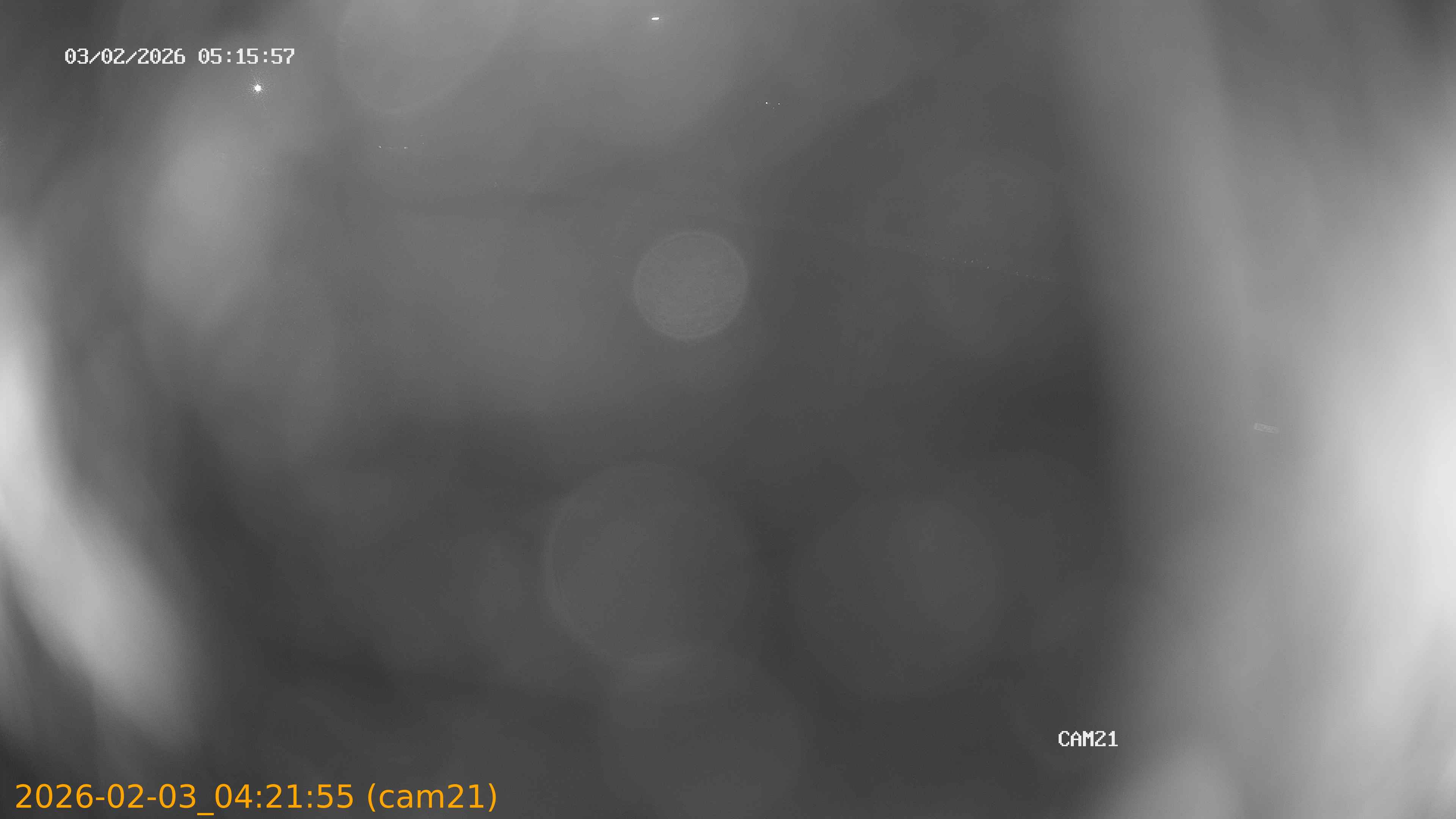 thumbnail_20260203042155