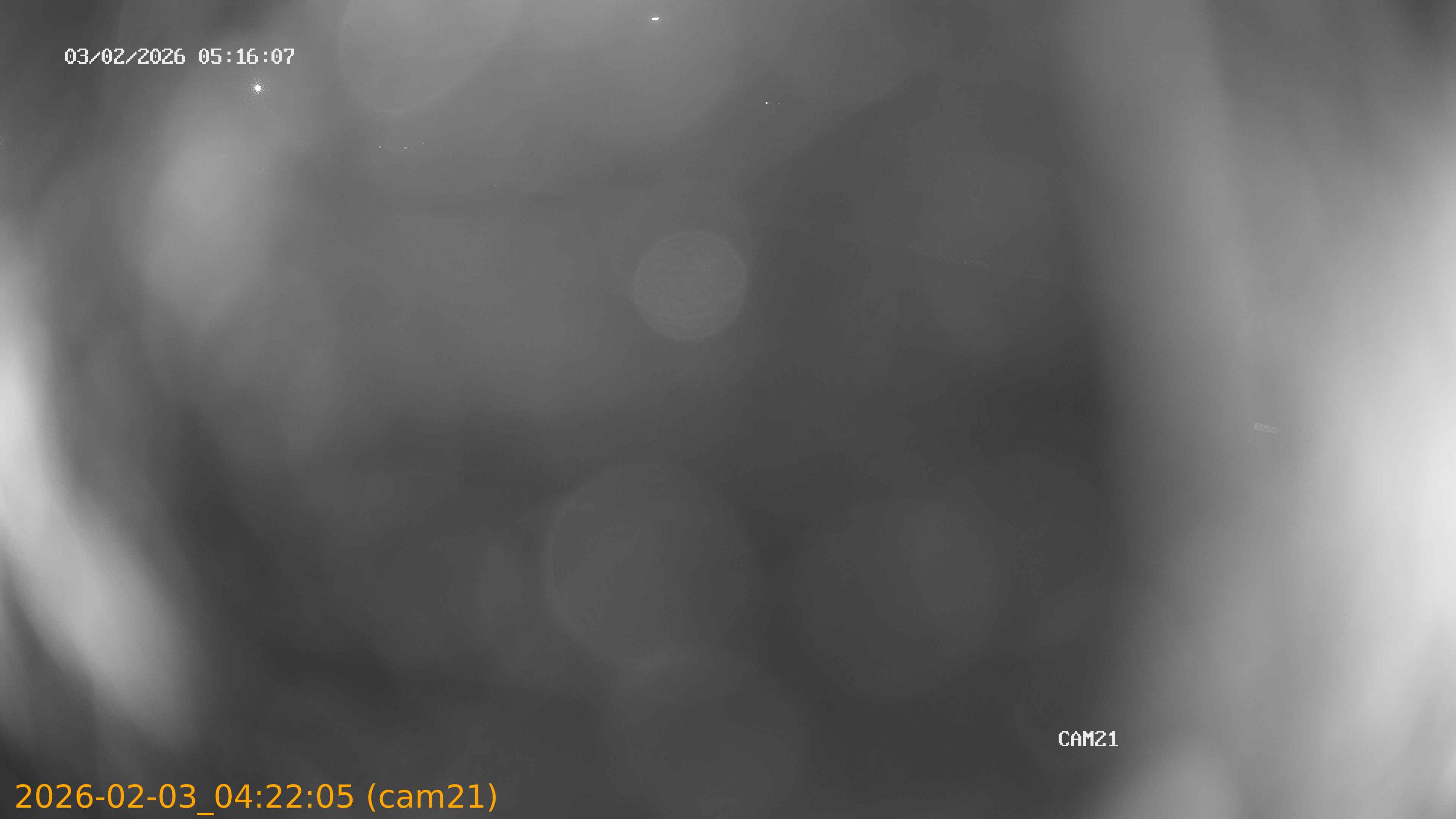 thumbnail_20260203042205