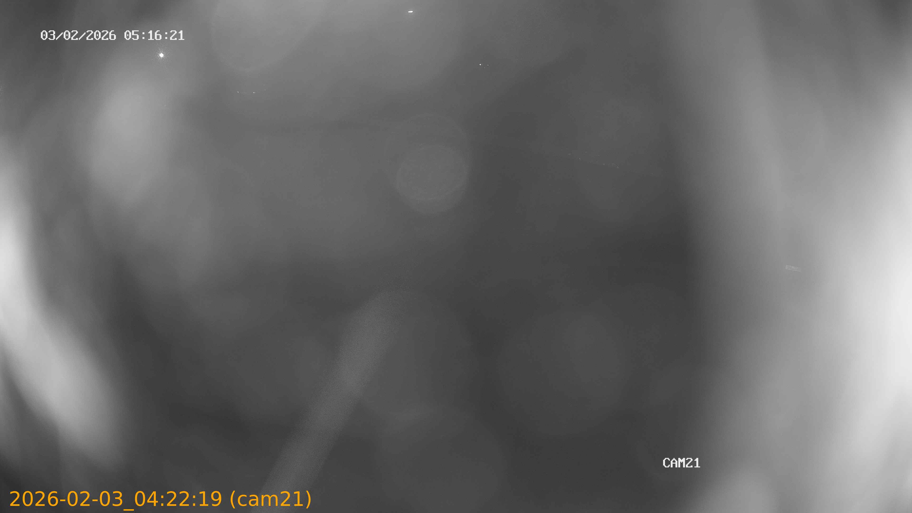 thumbnail_20260203042219