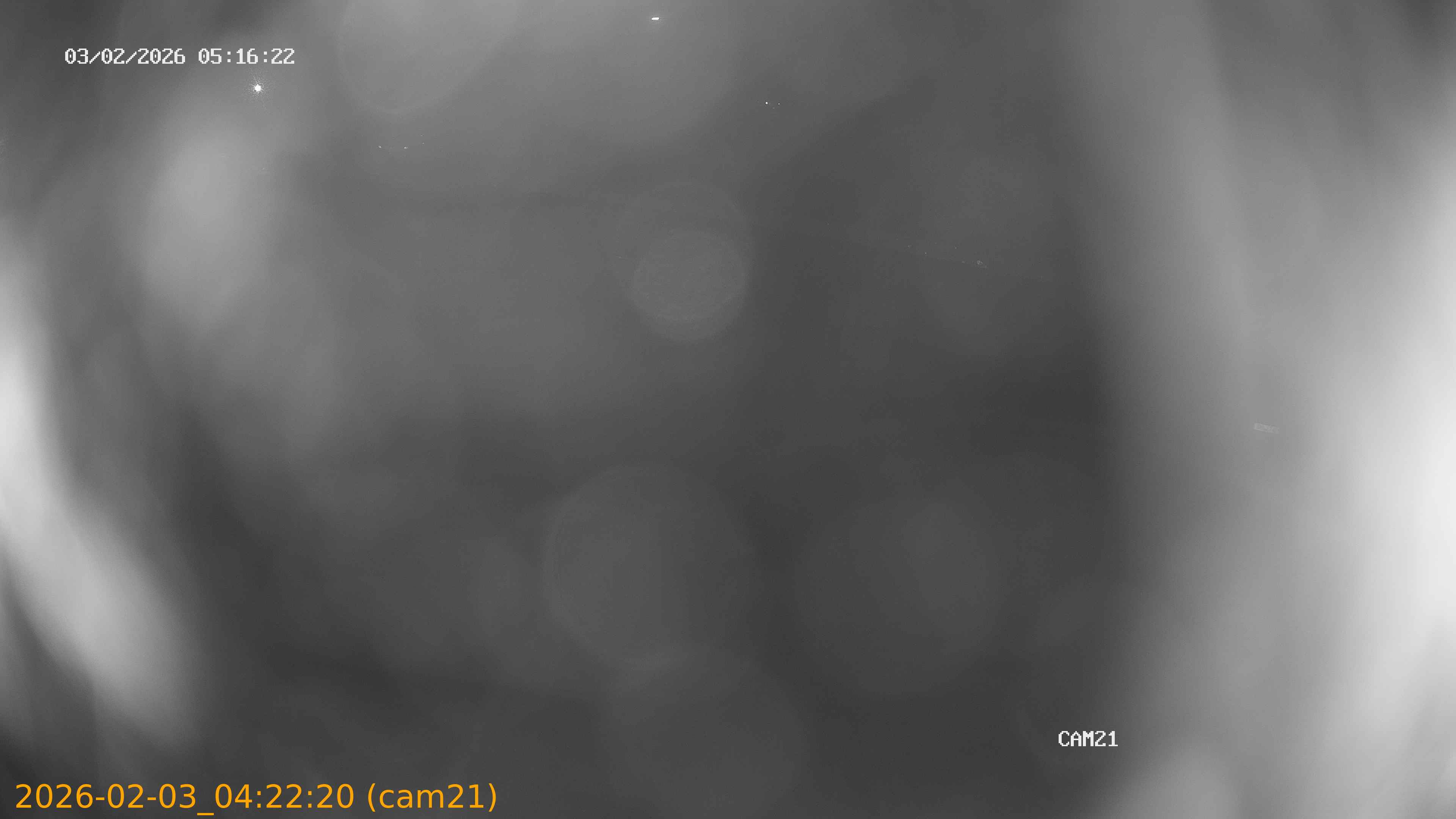 thumbnail_20260203042220