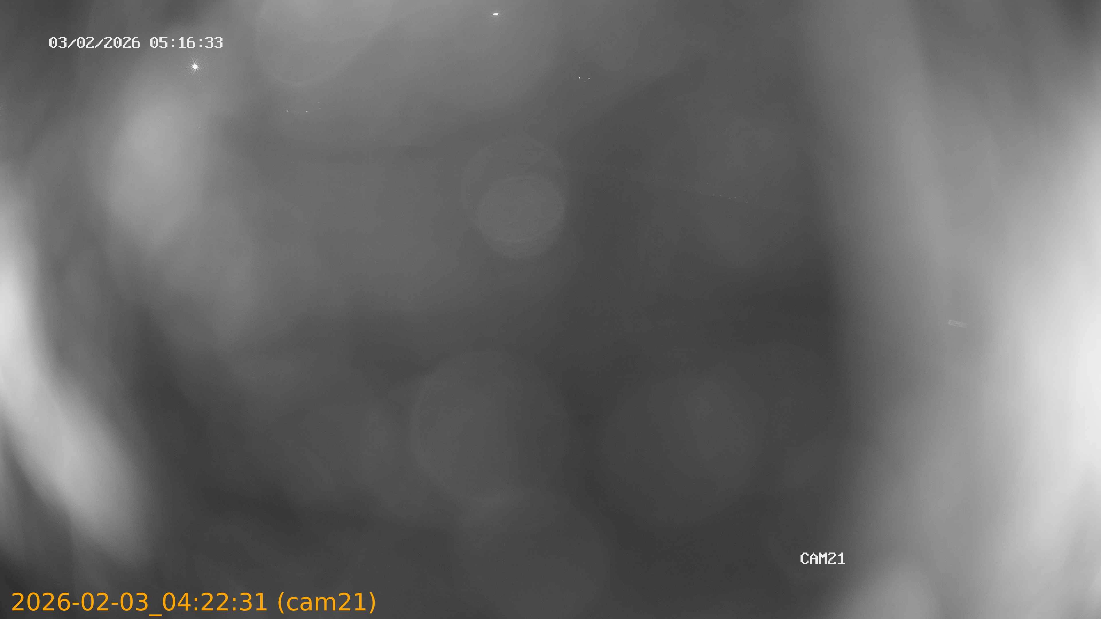 thumbnail_20260203042231