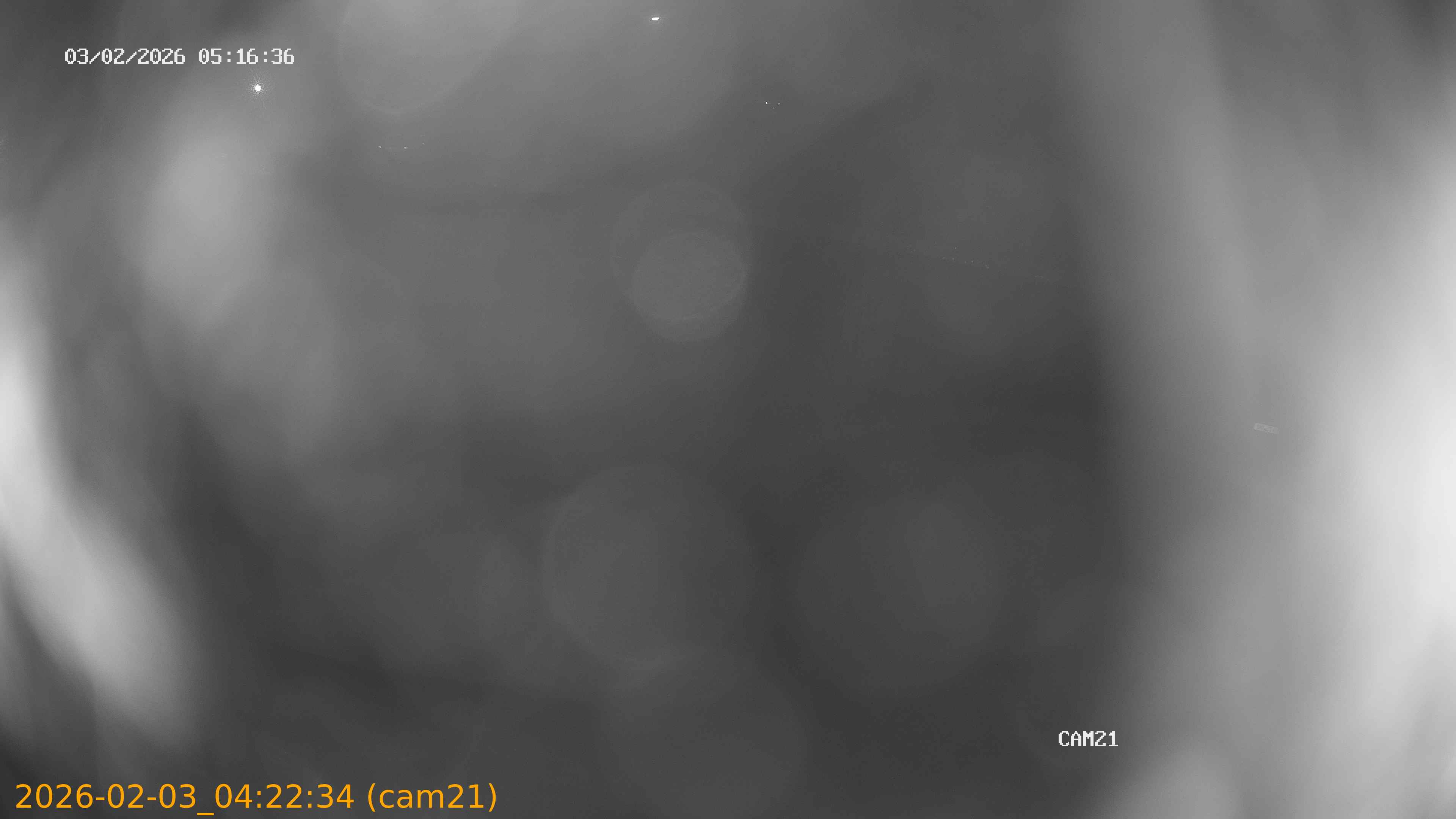 thumbnail_20260203042234