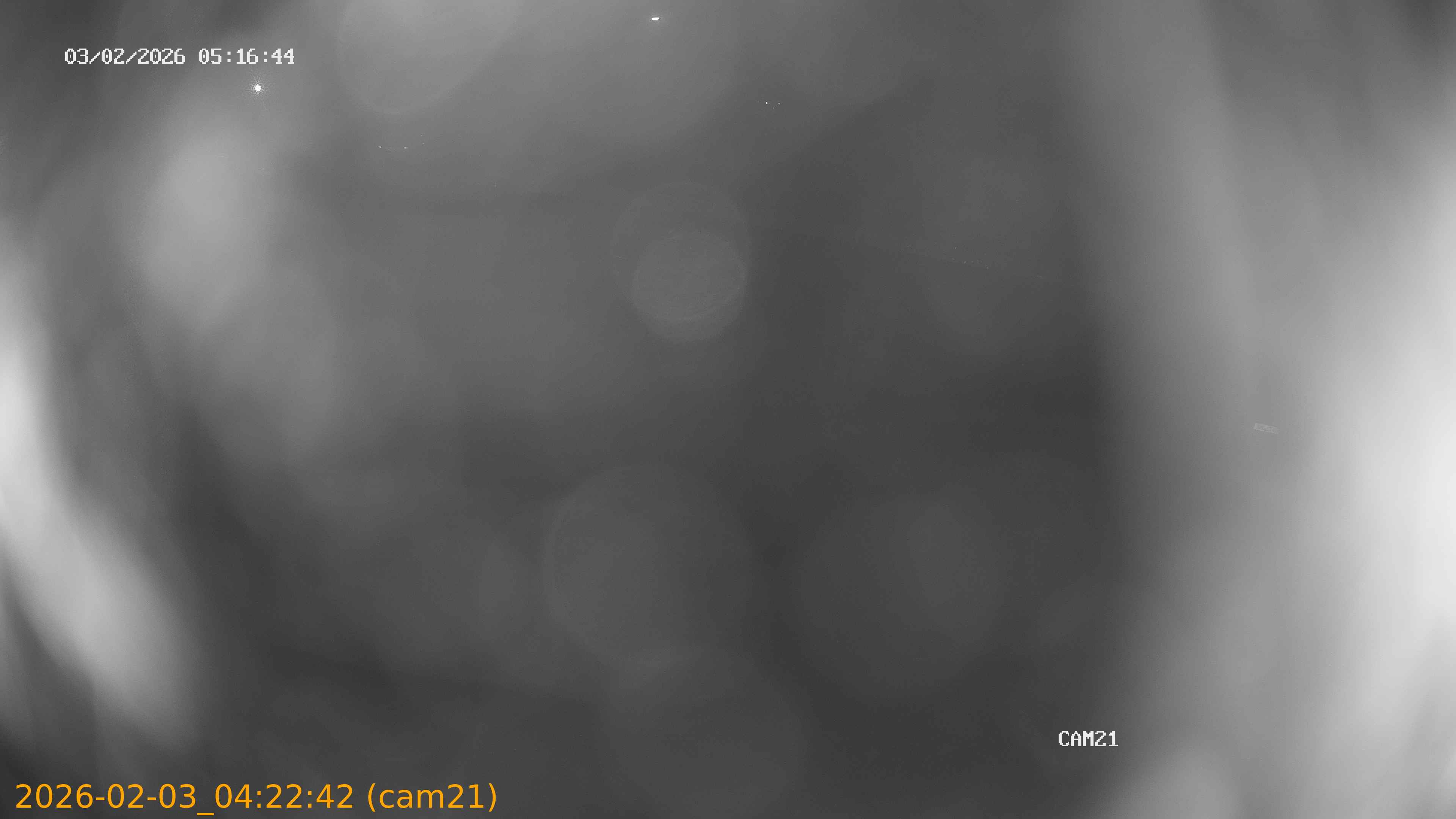 thumbnail_20260203042242