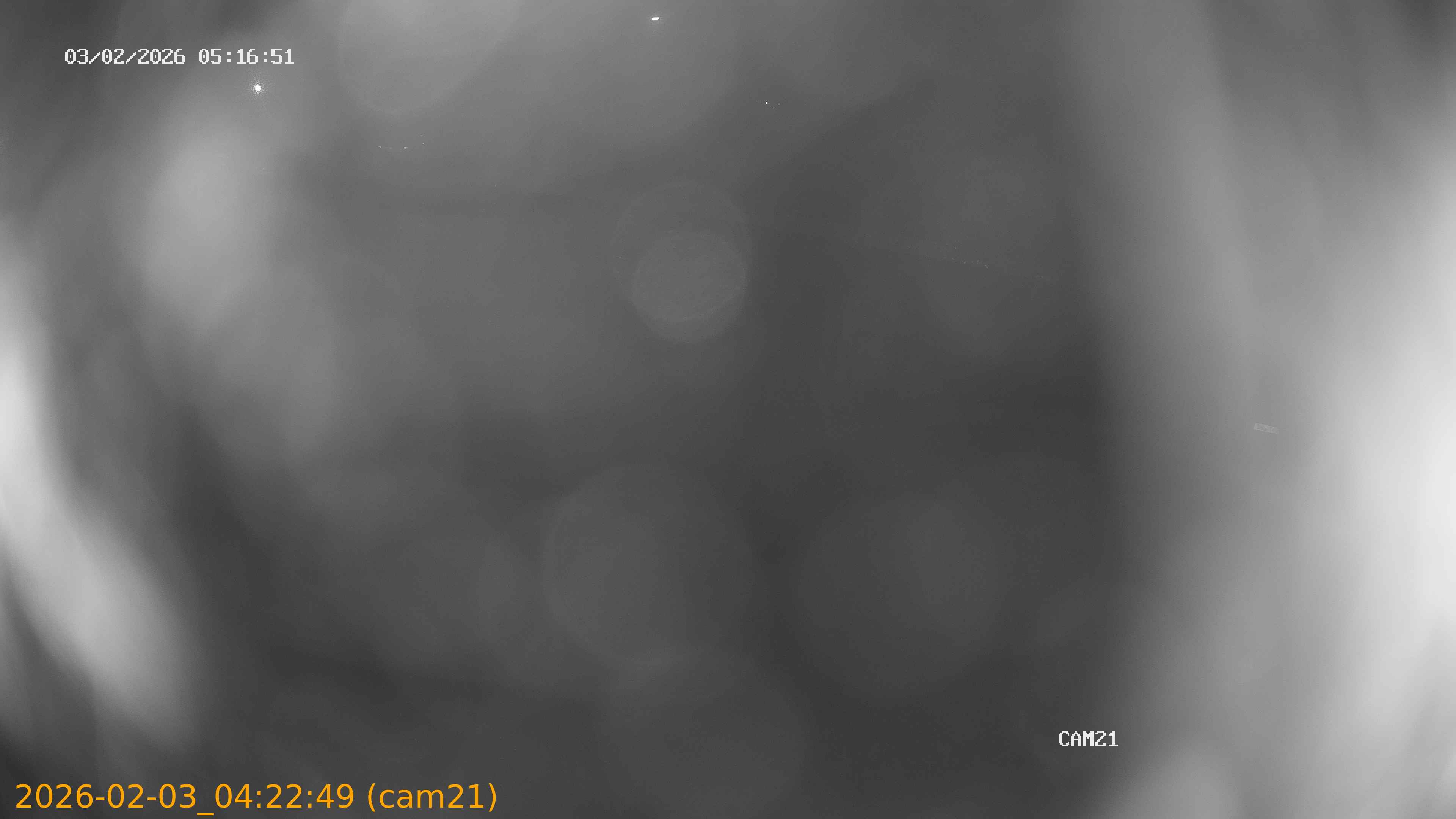 thumbnail_20260203042249