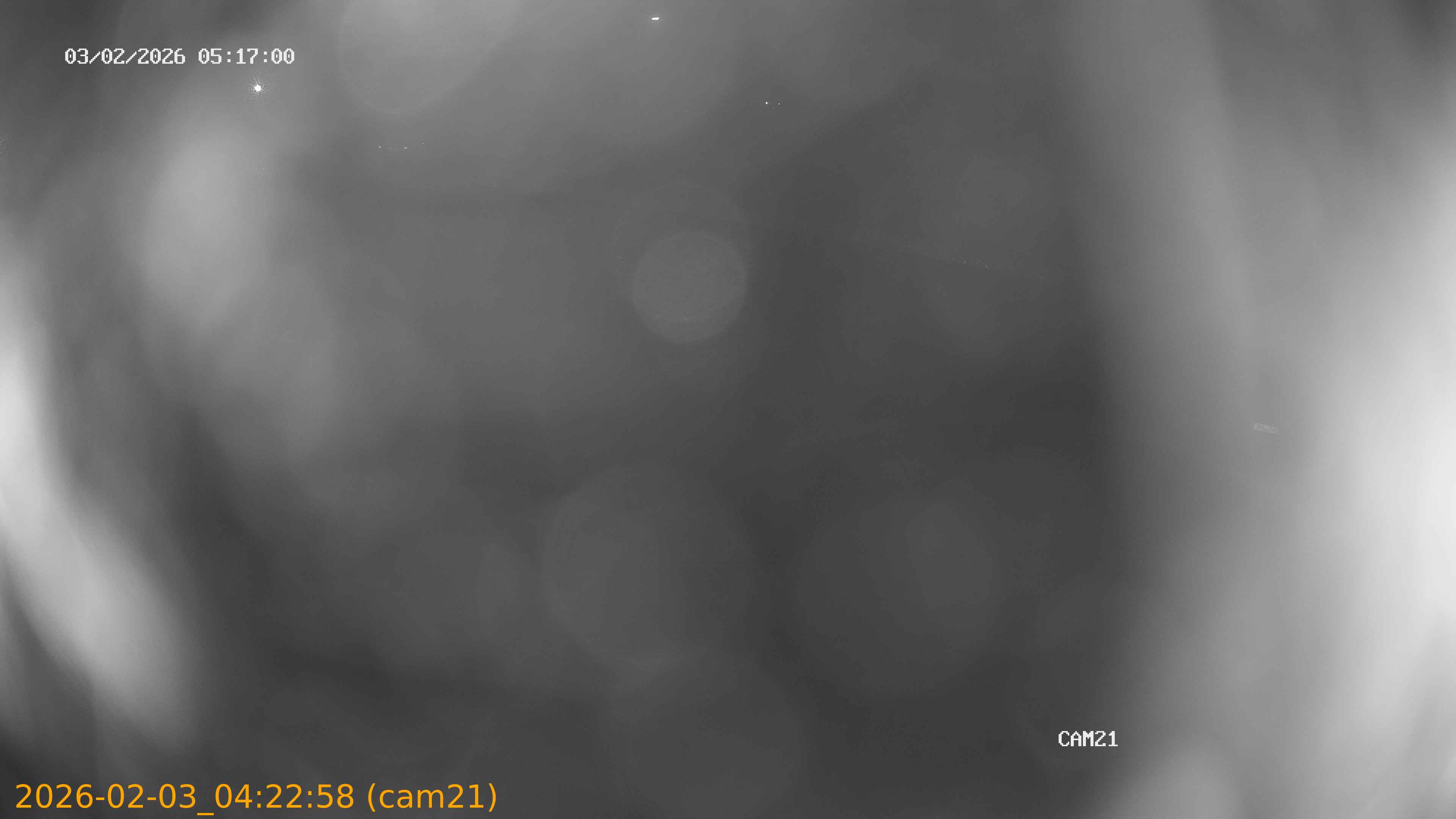 thumbnail_20260203042258