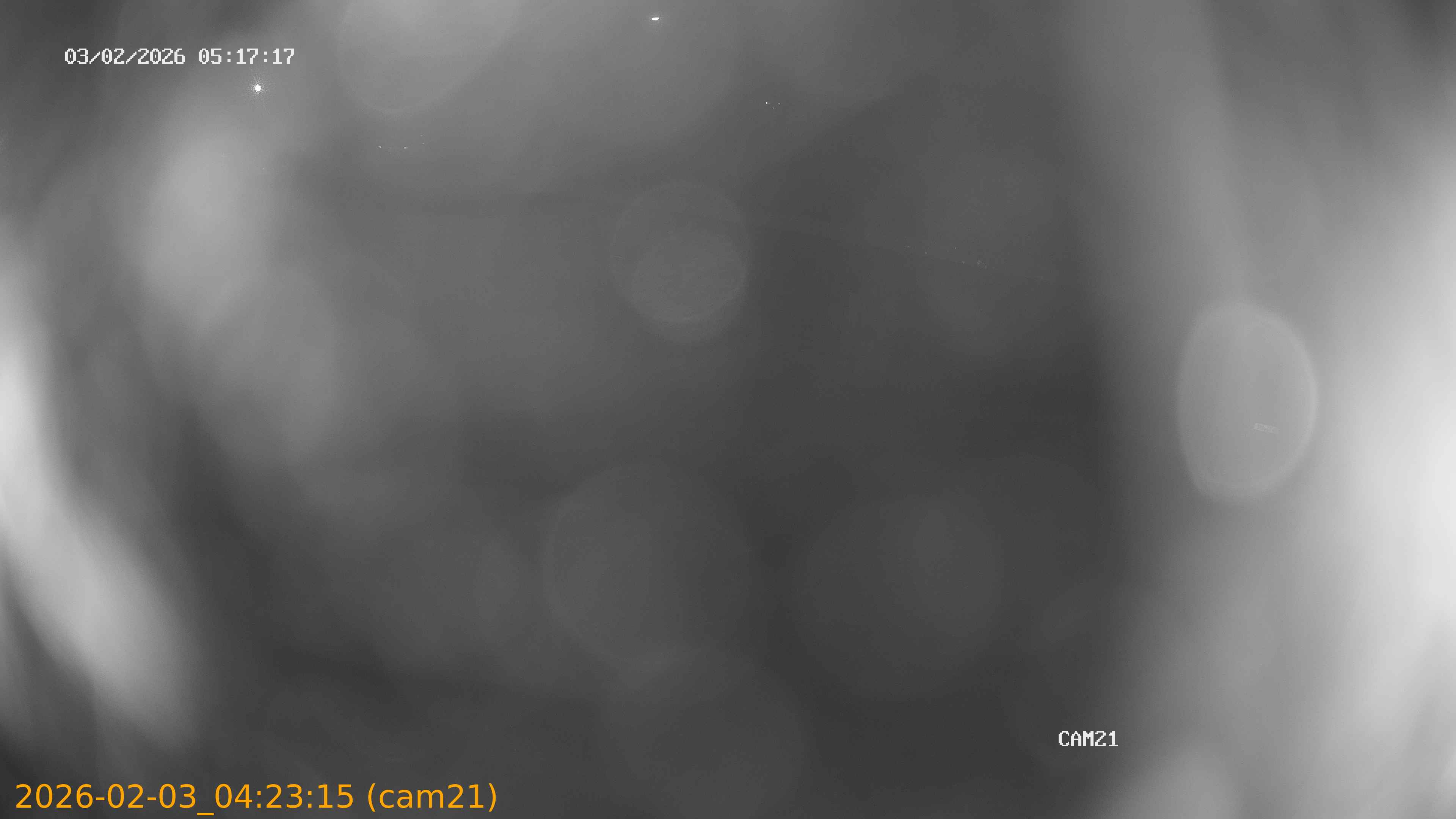 thumbnail_20260203042315