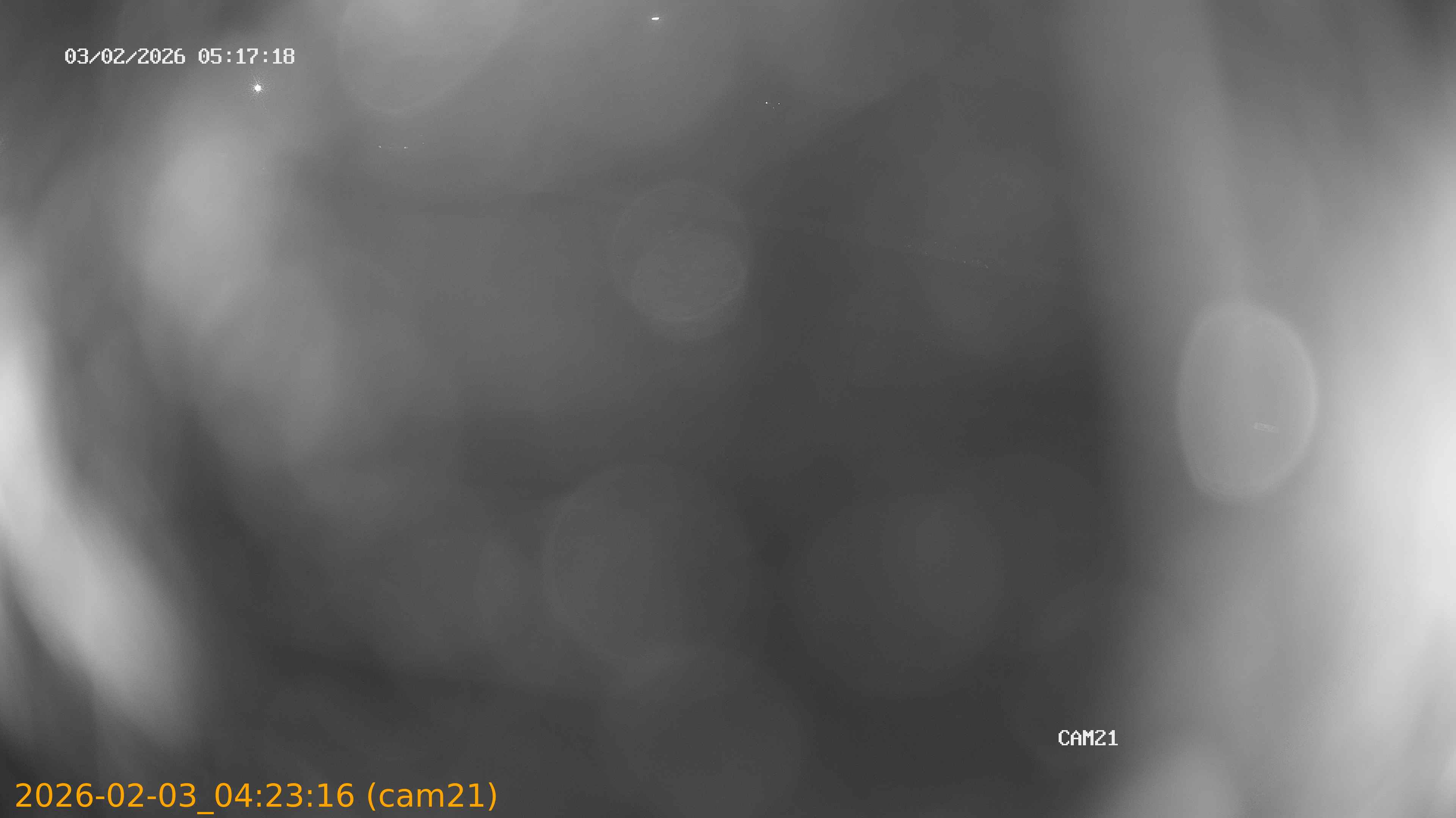 thumbnail_20260203042316