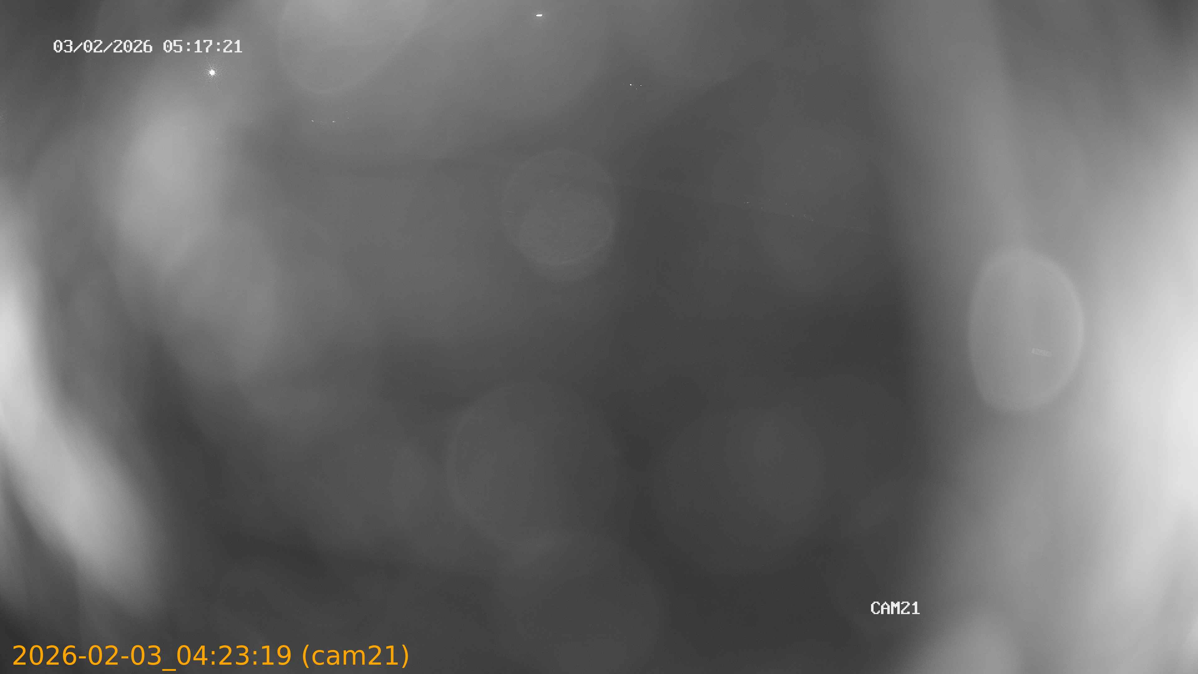 thumbnail_20260203042319