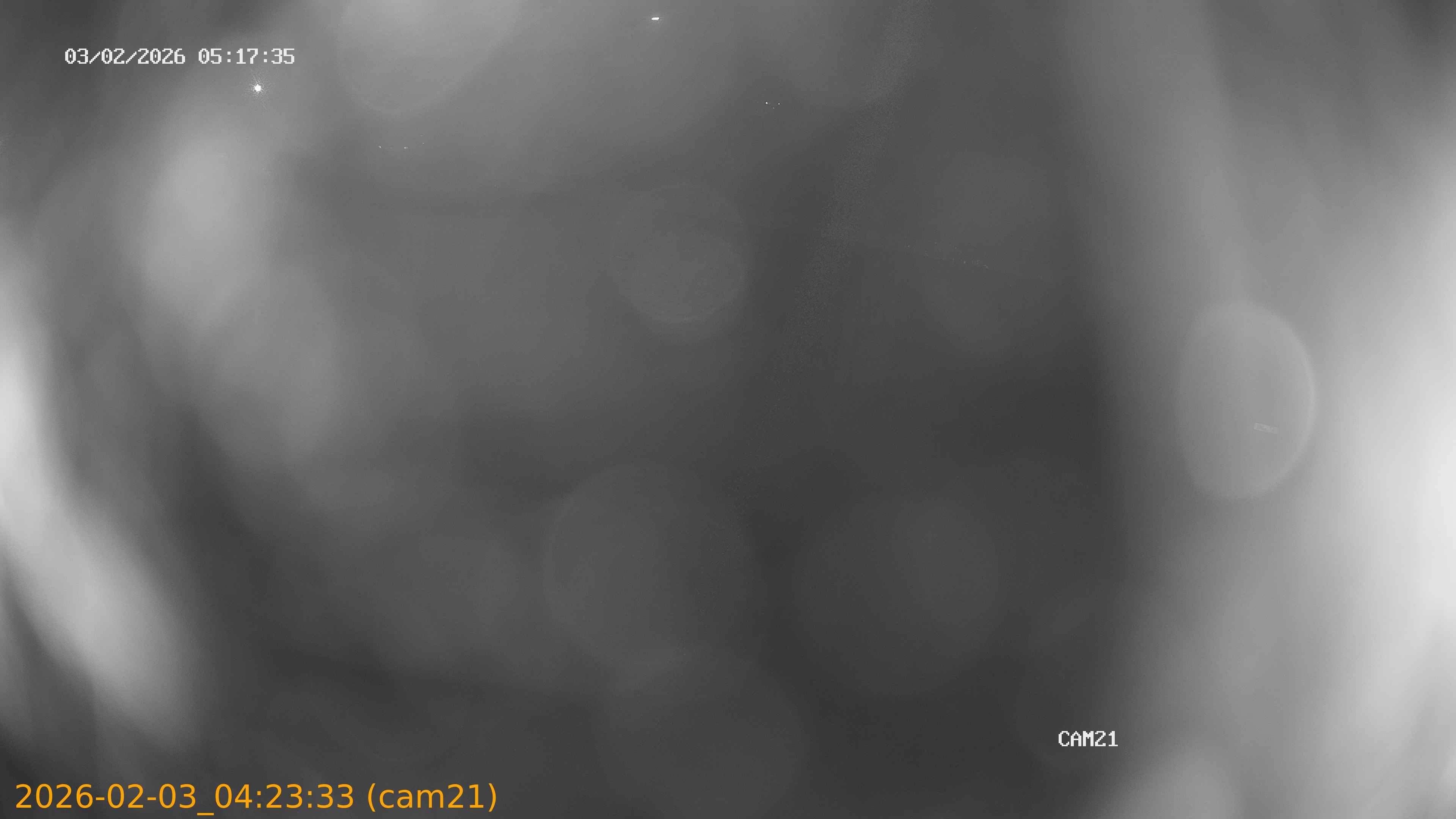 thumbnail_20260203042333