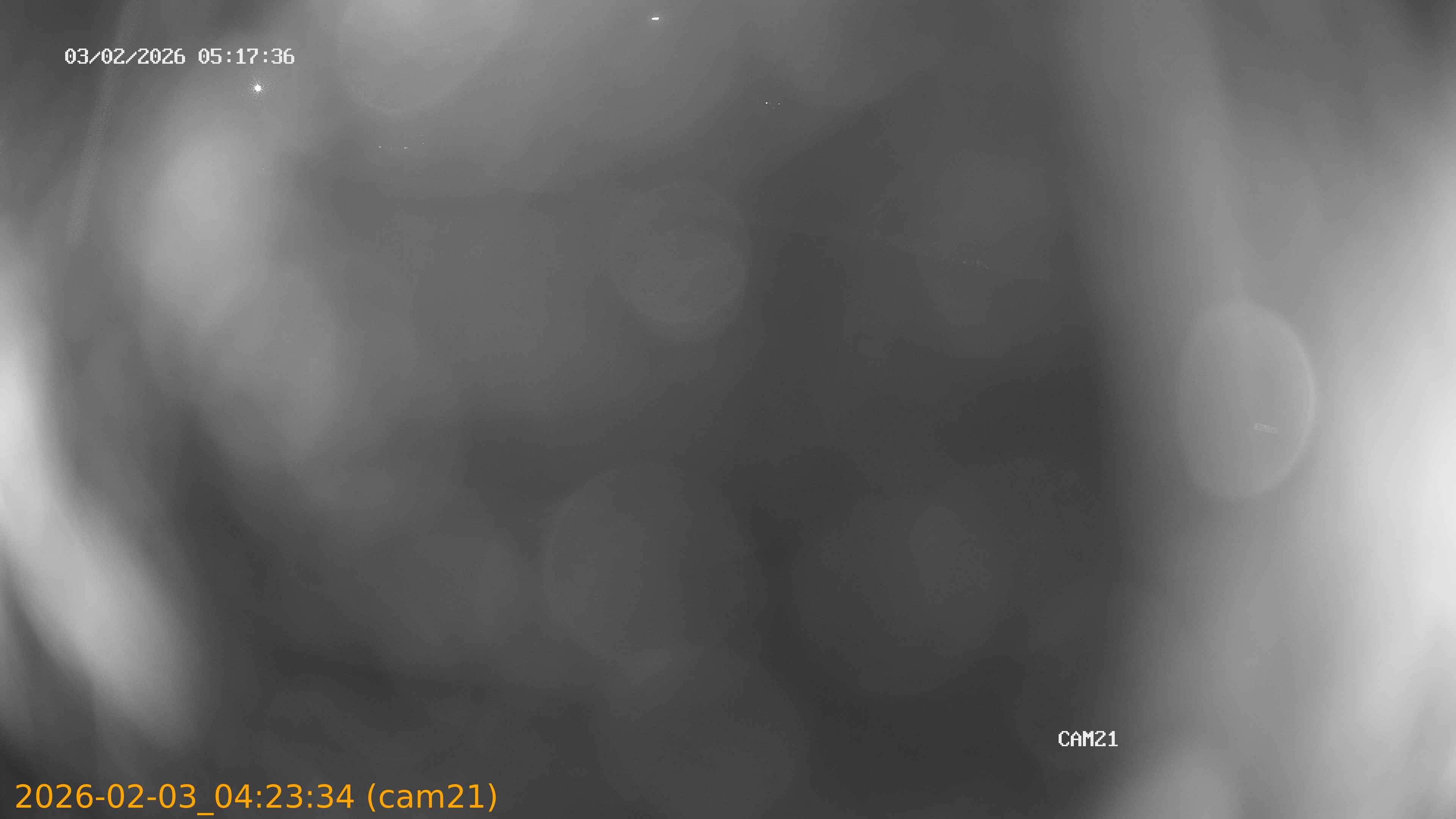 thumbnail_20260203042334