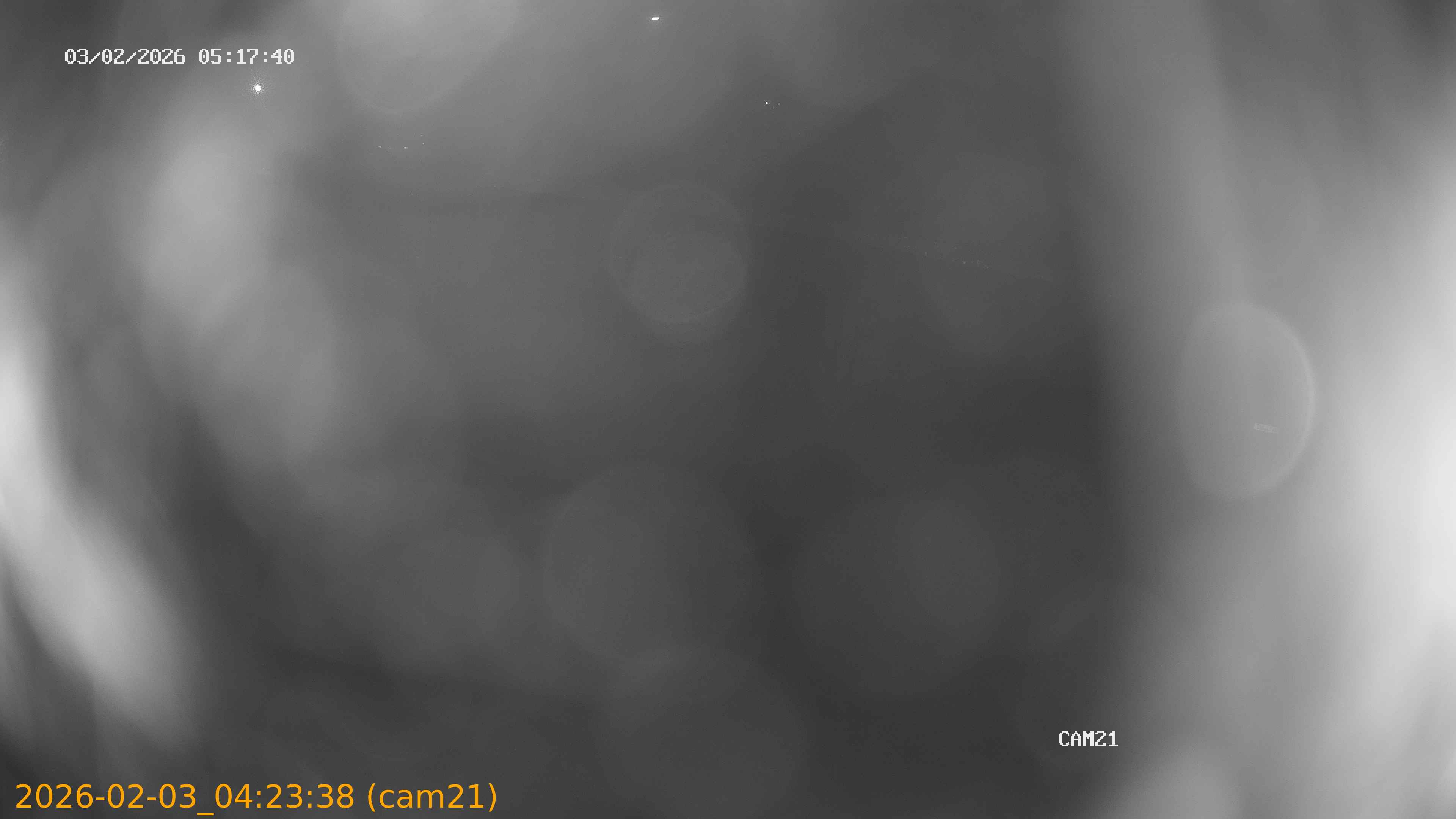 thumbnail_20260203042338