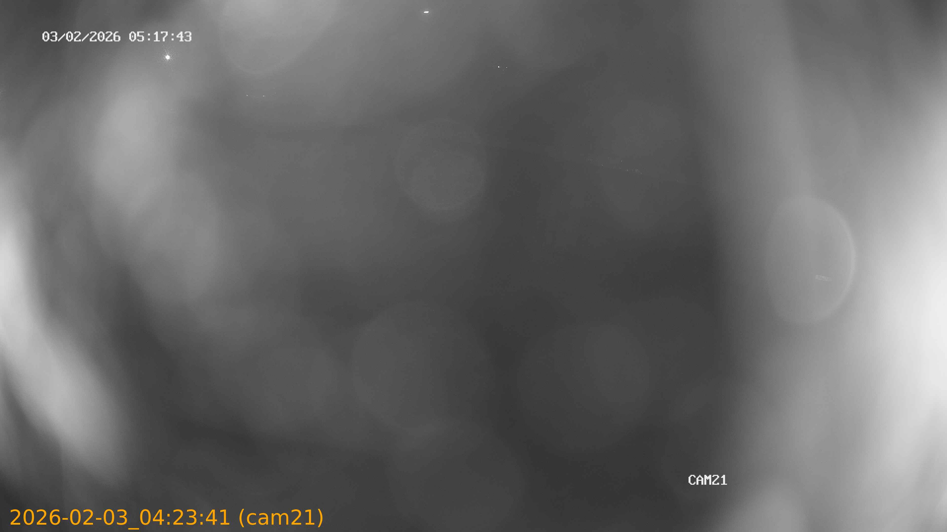 thumbnail_20260203042341