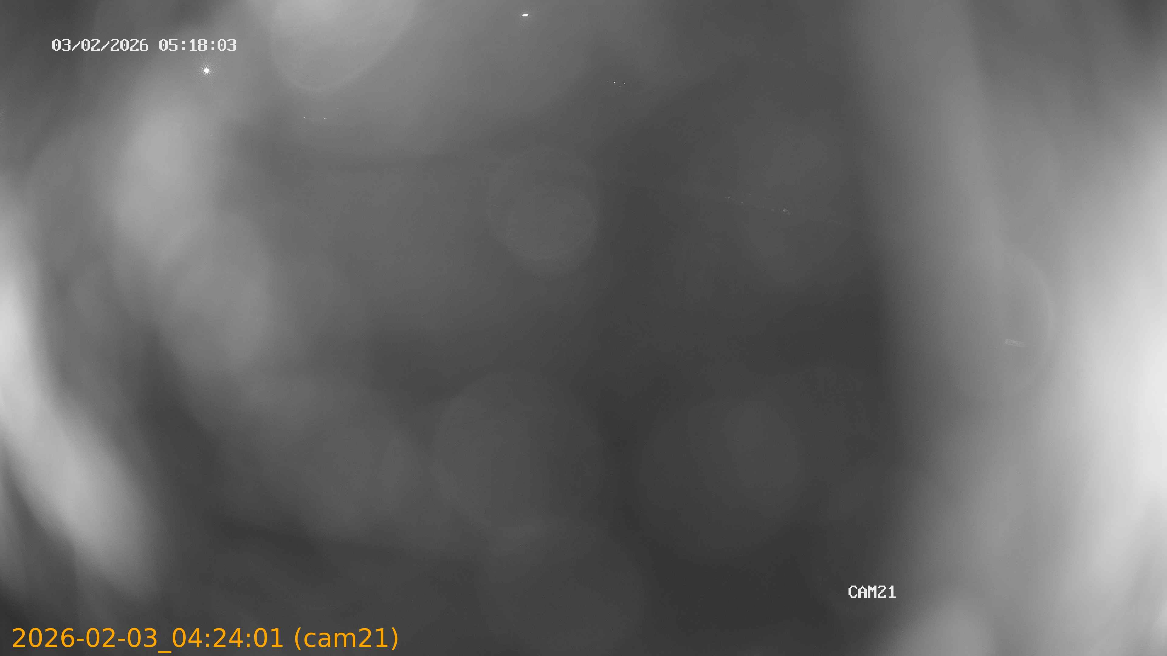 thumbnail_20260203042401