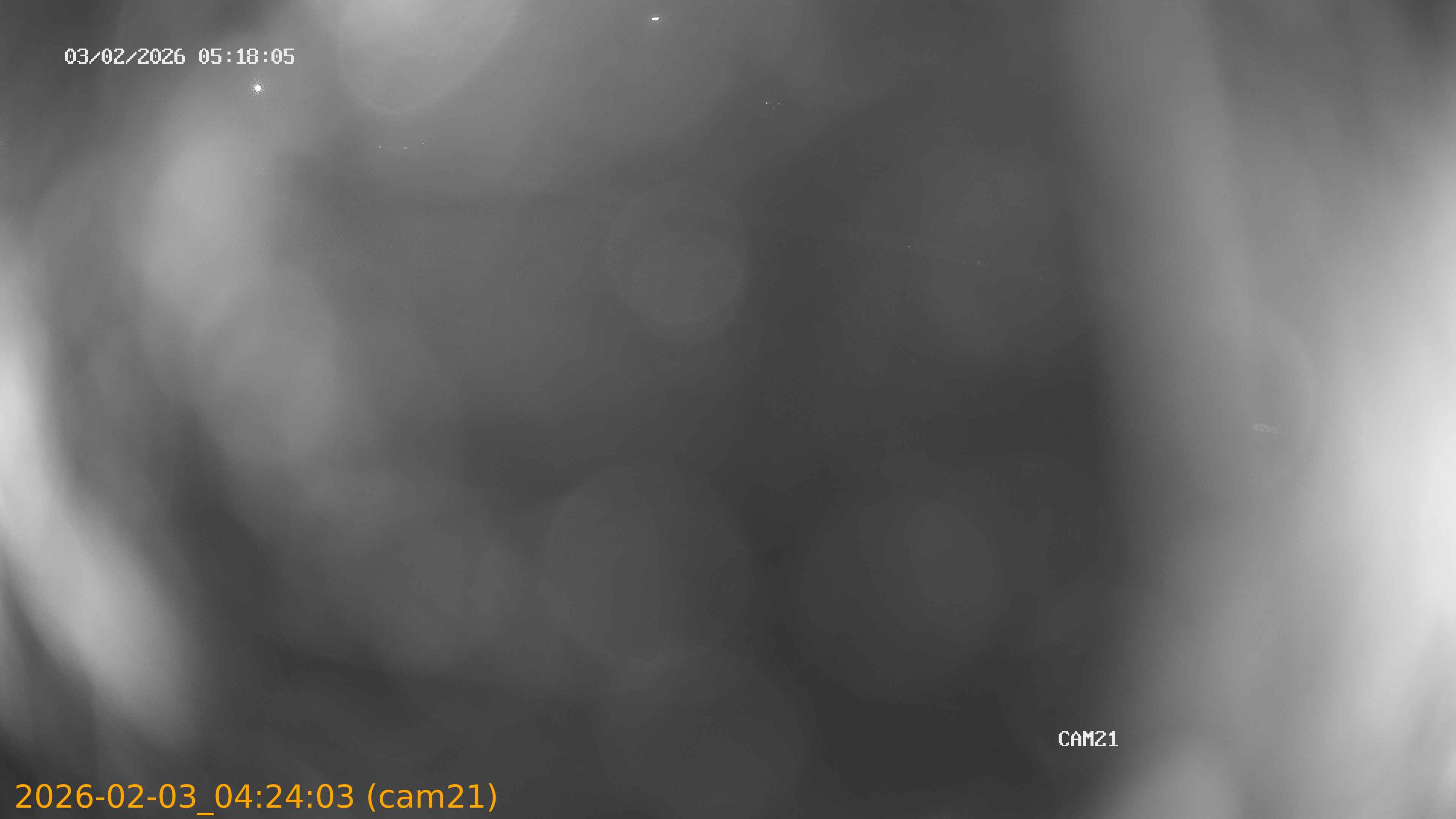 thumbnail_20260203042403