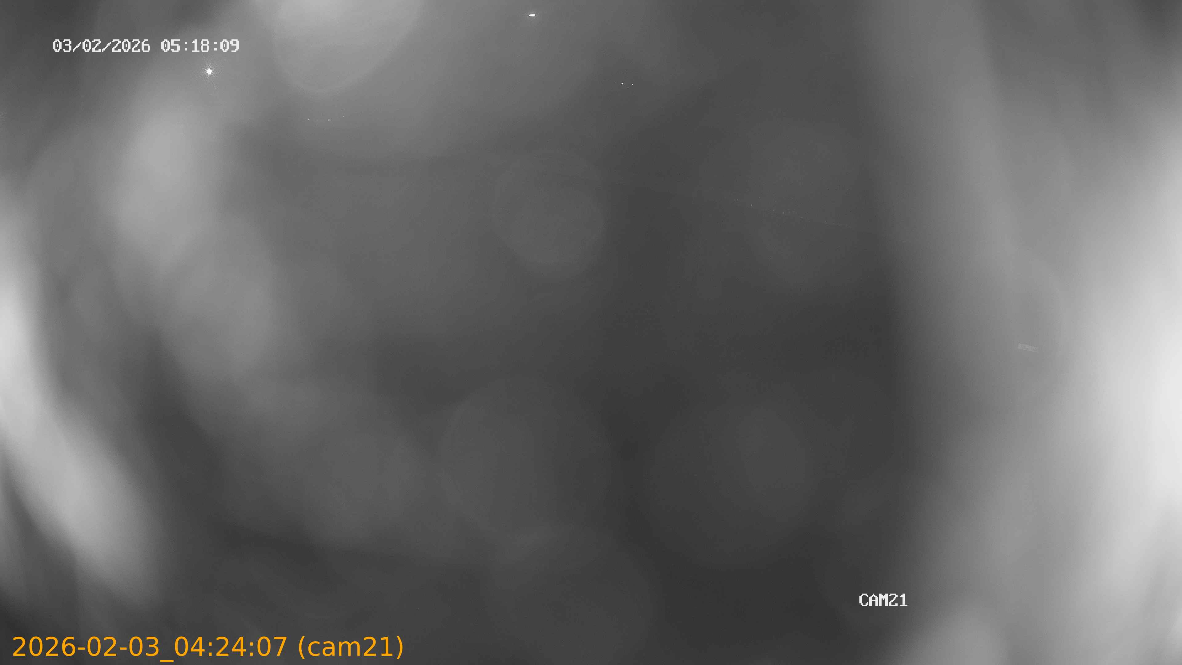 thumbnail_20260203042407