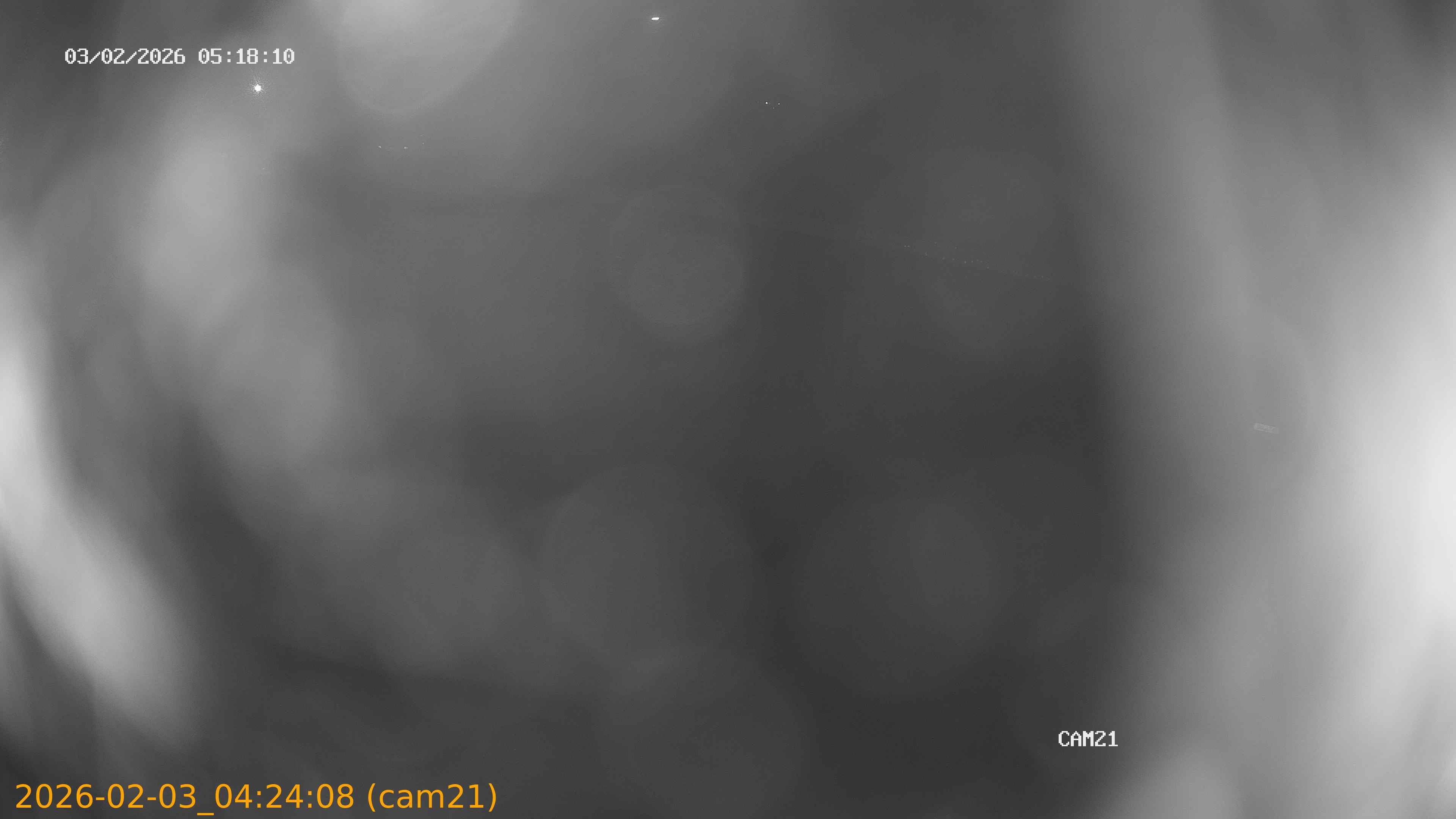 thumbnail_20260203042408