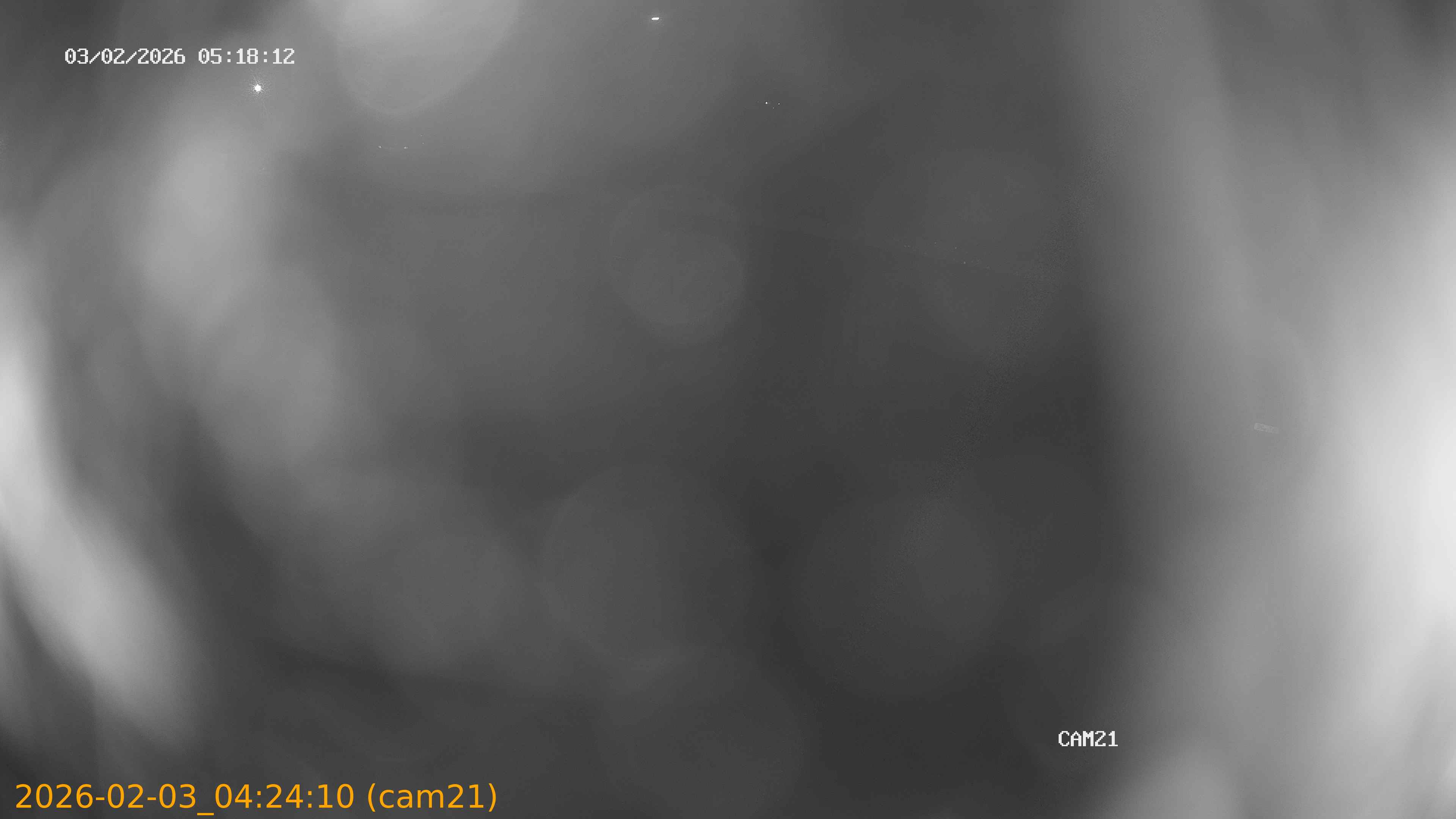 thumbnail_20260203042410