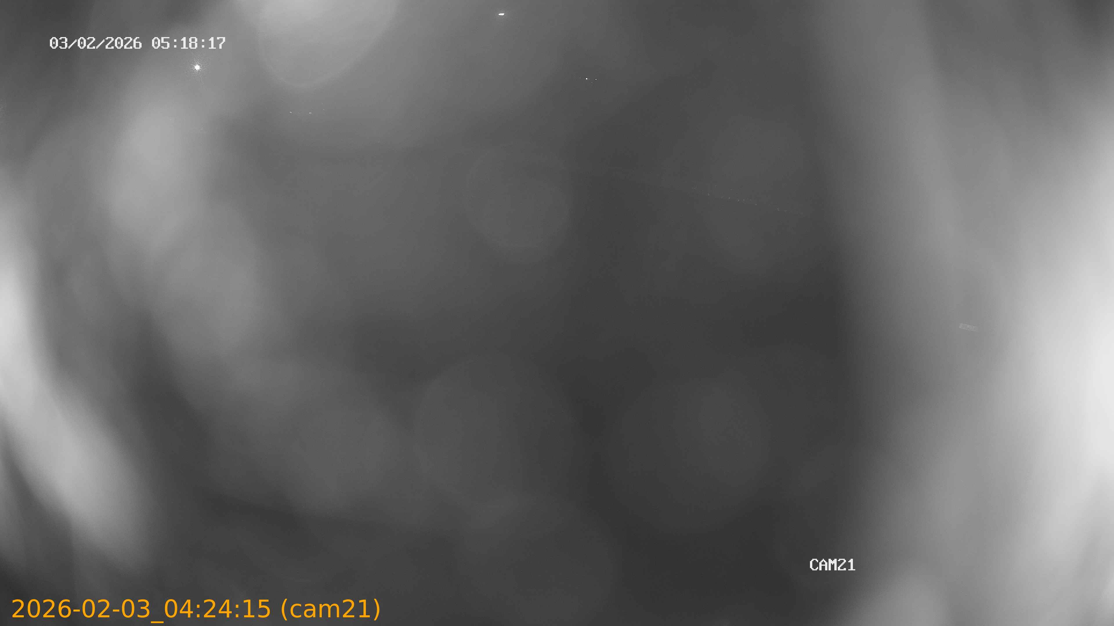 thumbnail_20260203042415