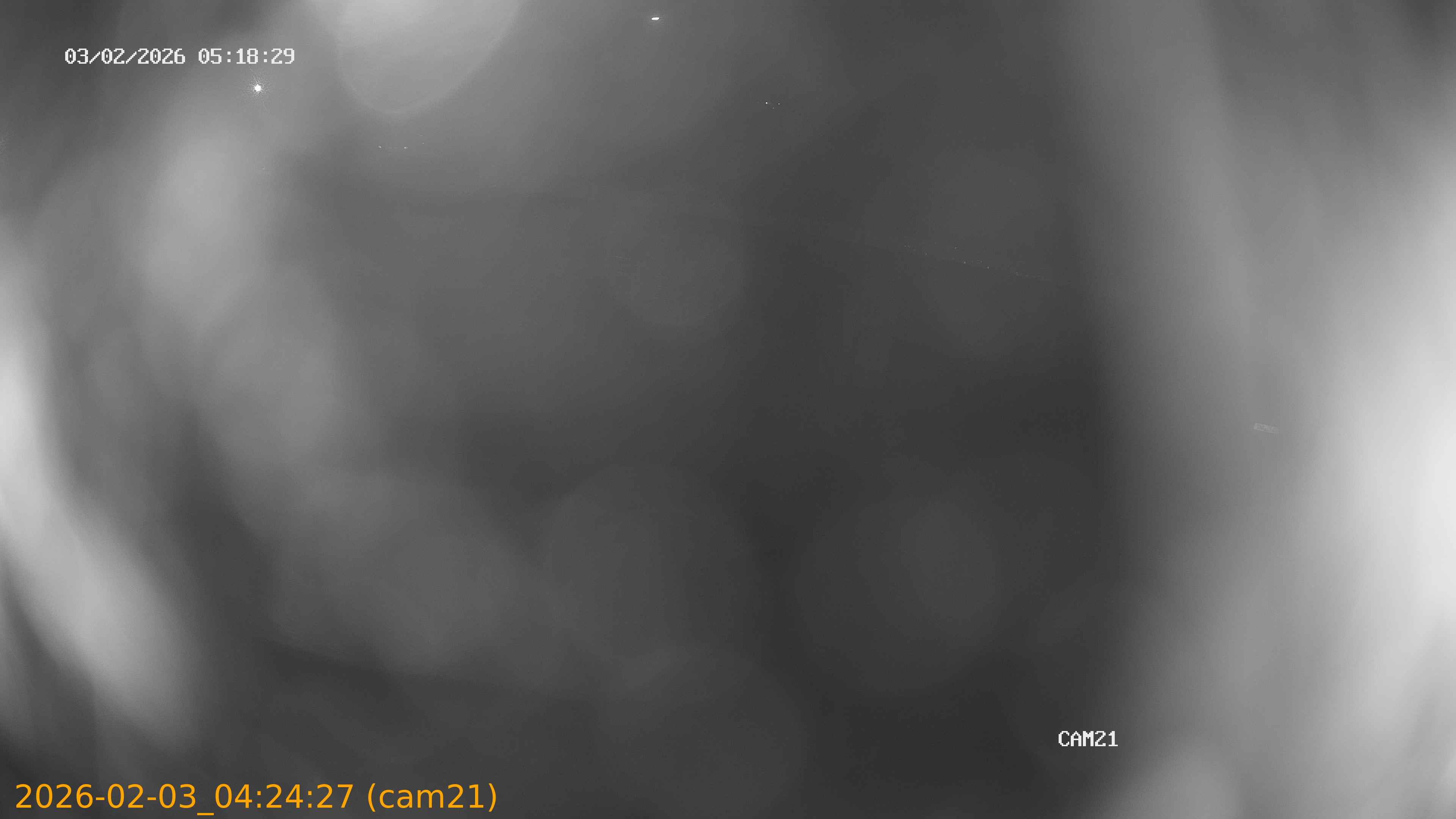 thumbnail_20260203042427