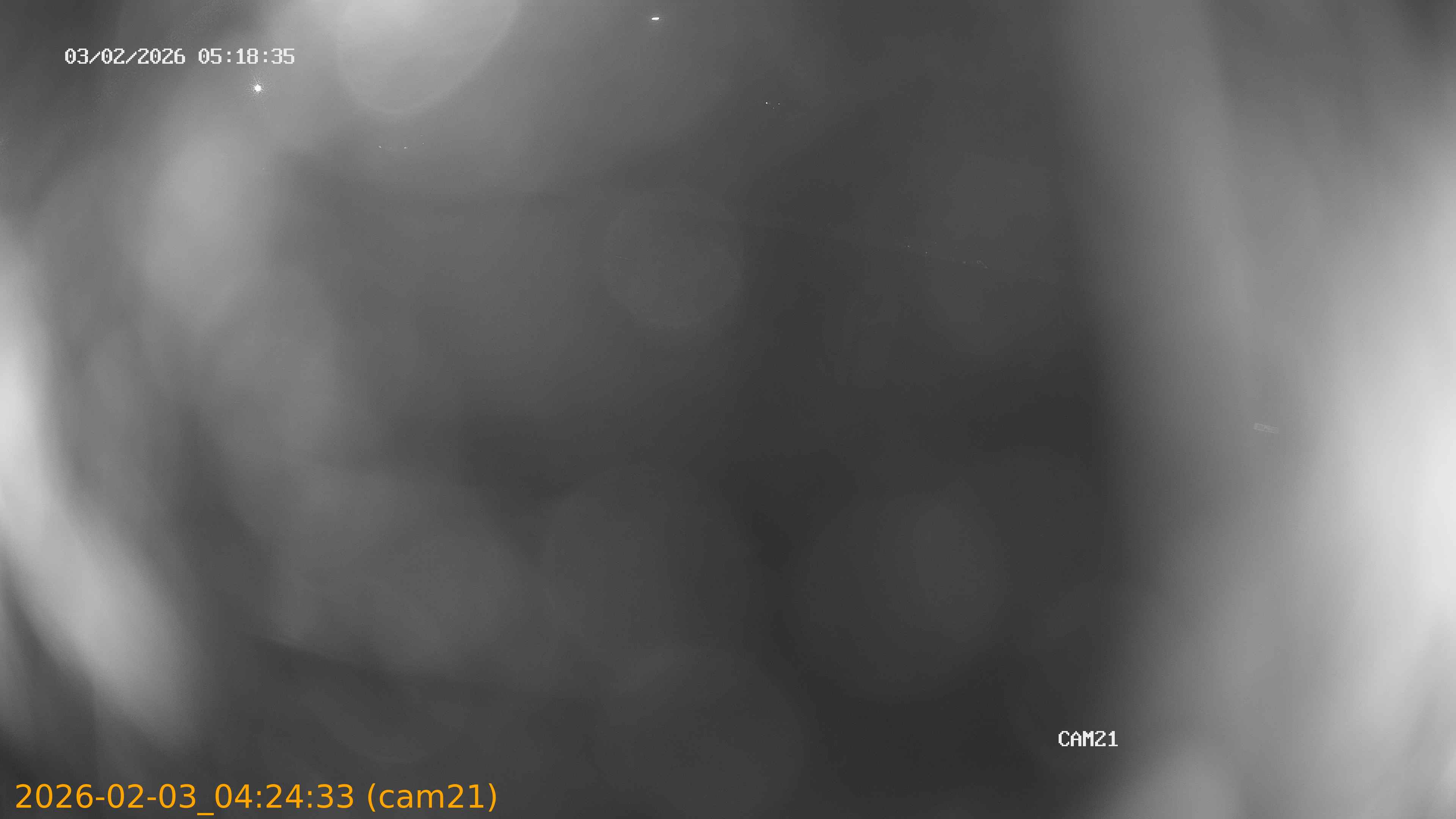 thumbnail_20260203042433