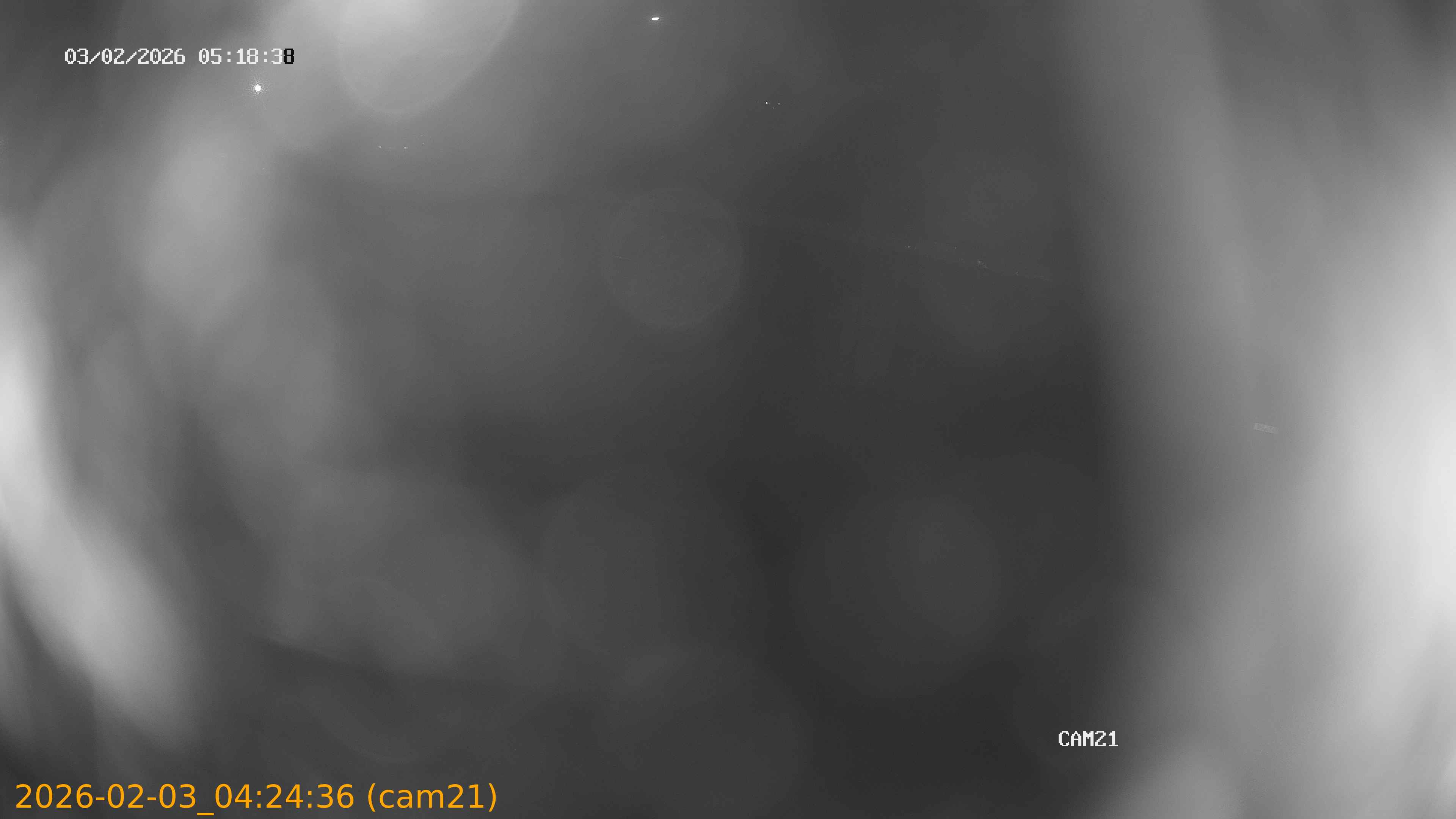 thumbnail_20260203042436