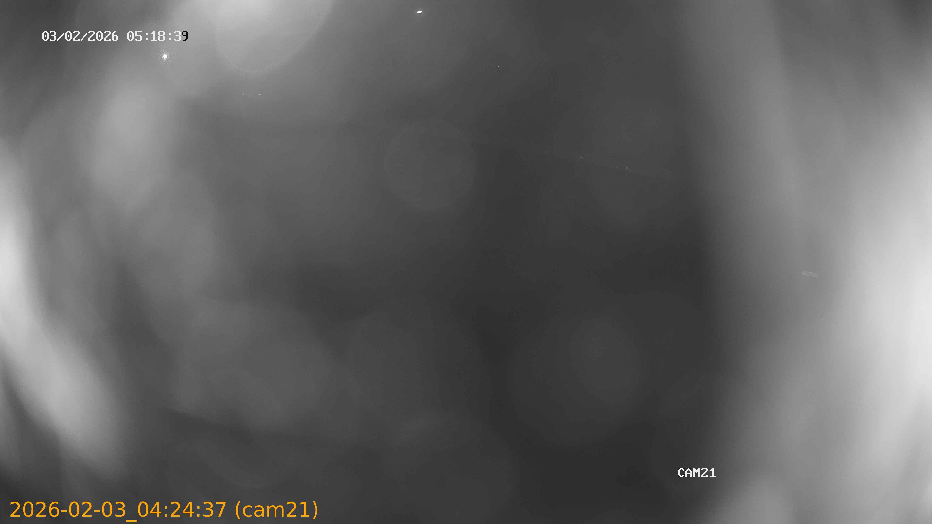 thumbnail_20260203042437